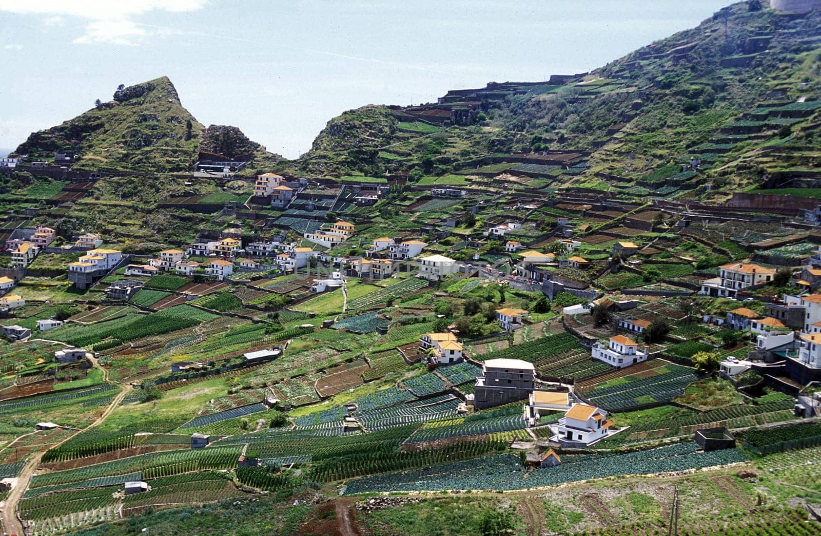 The agriculture beo Santo Antonio near Funchal in the south of the island of Madeira in the Atlantic Ocean,Portugal.