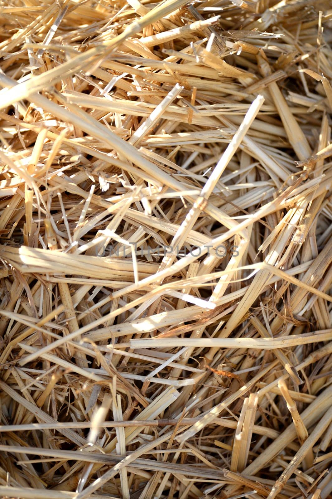 A close up shot of a bale of straw