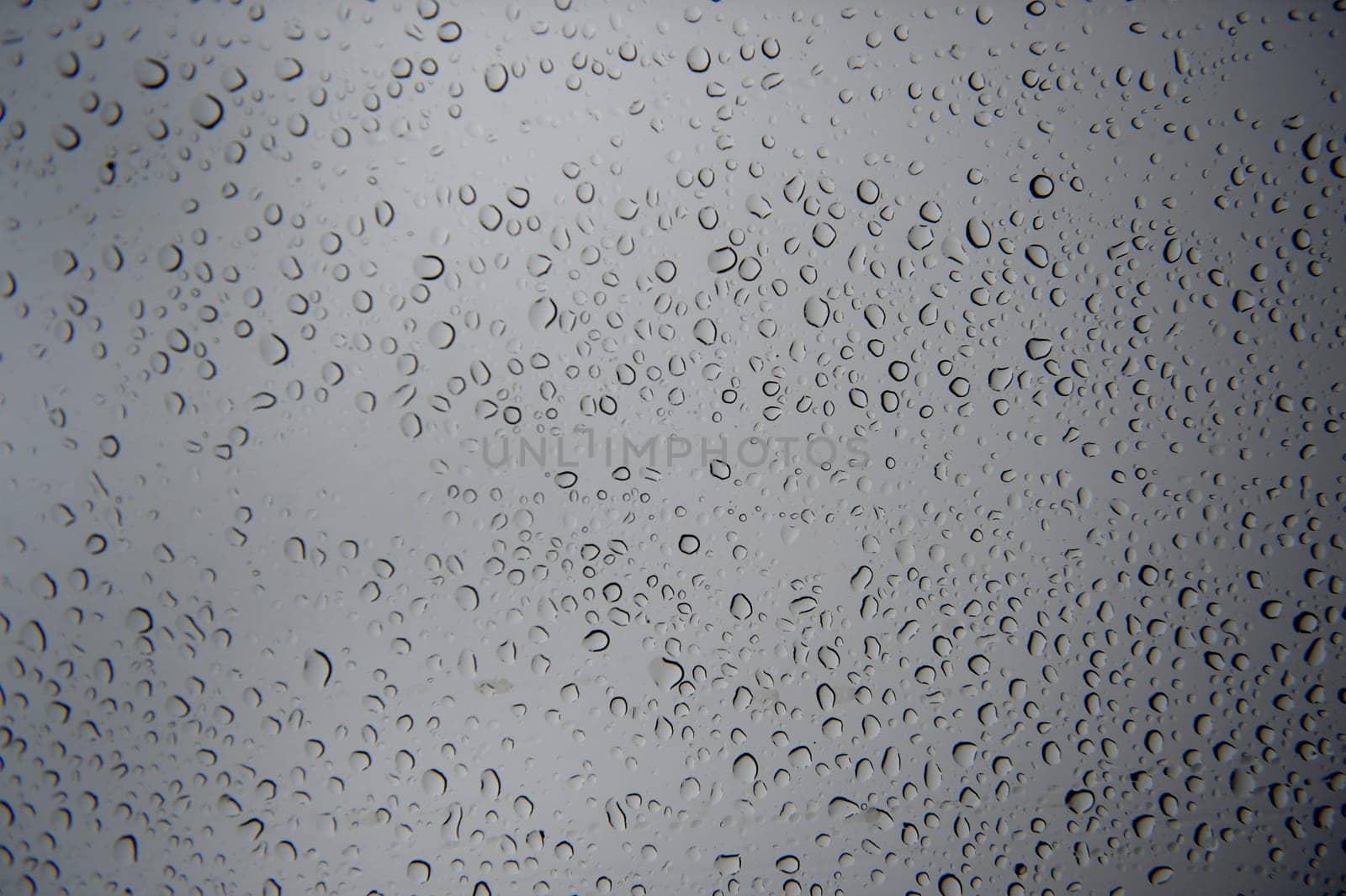 A close up shot of rain droplets on a window