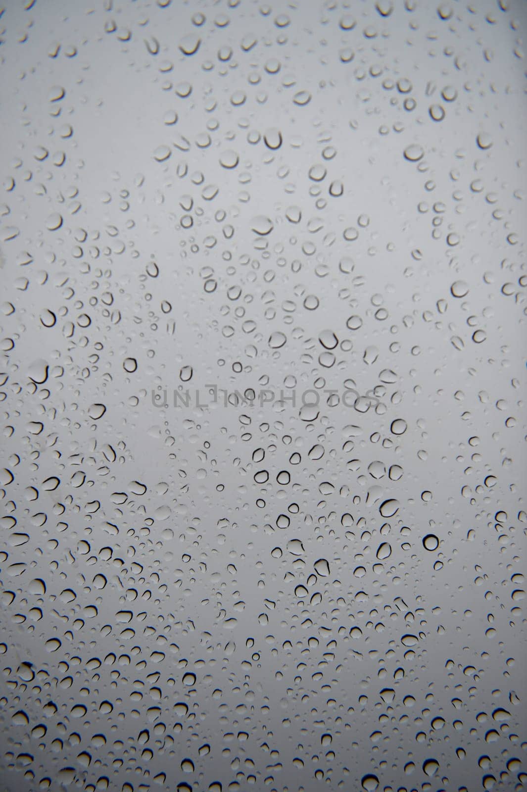 A close up shot of rain droplets on a window