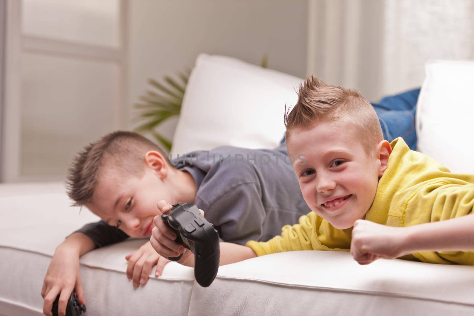 two little boys having lots of fun with video games