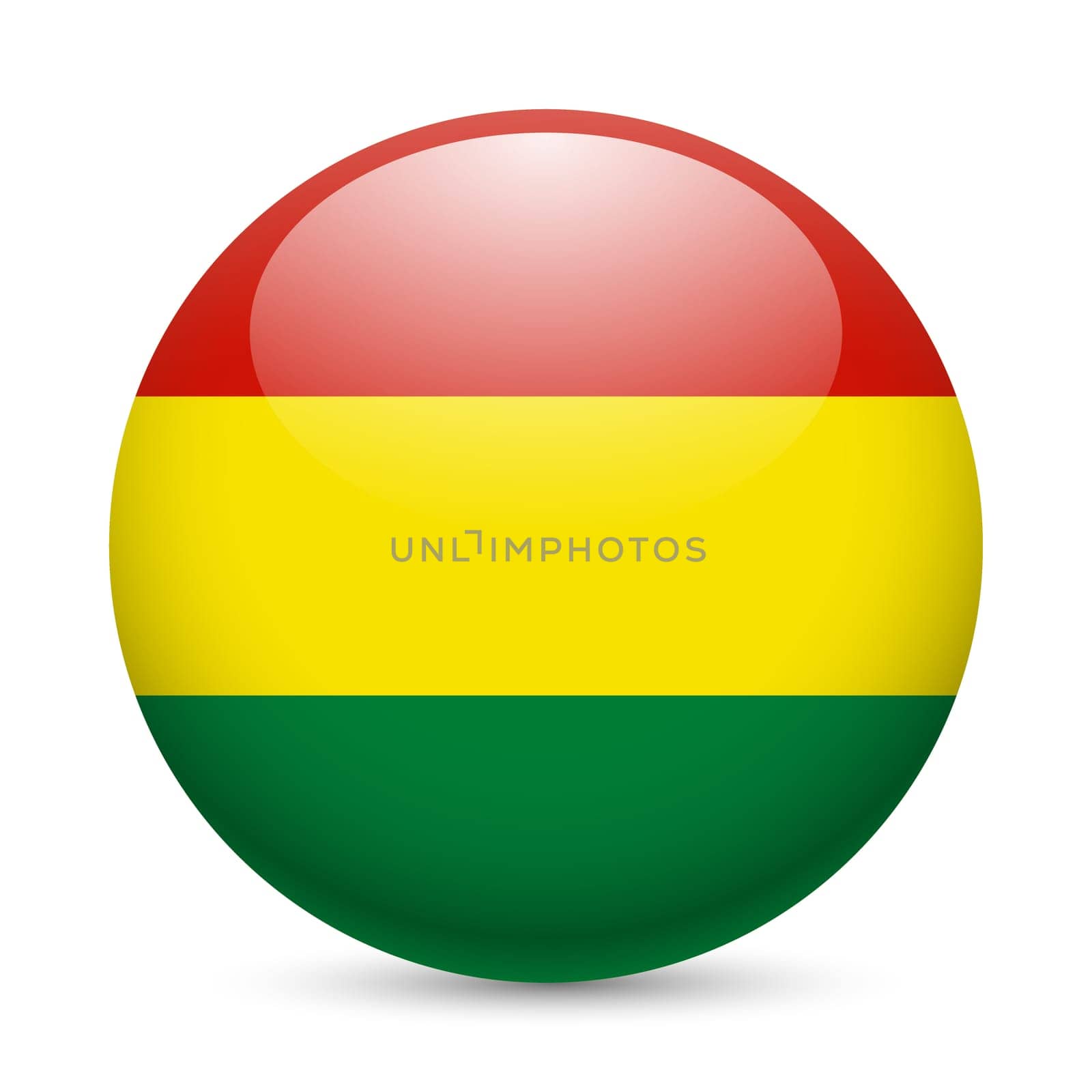 Flag of Bolivia as round glossy icon. Button with Bolivian flag