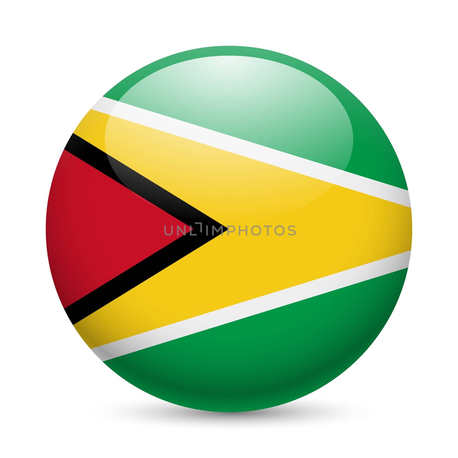 Flag of Guyana as round glossy icon. Button with Guyanese flag