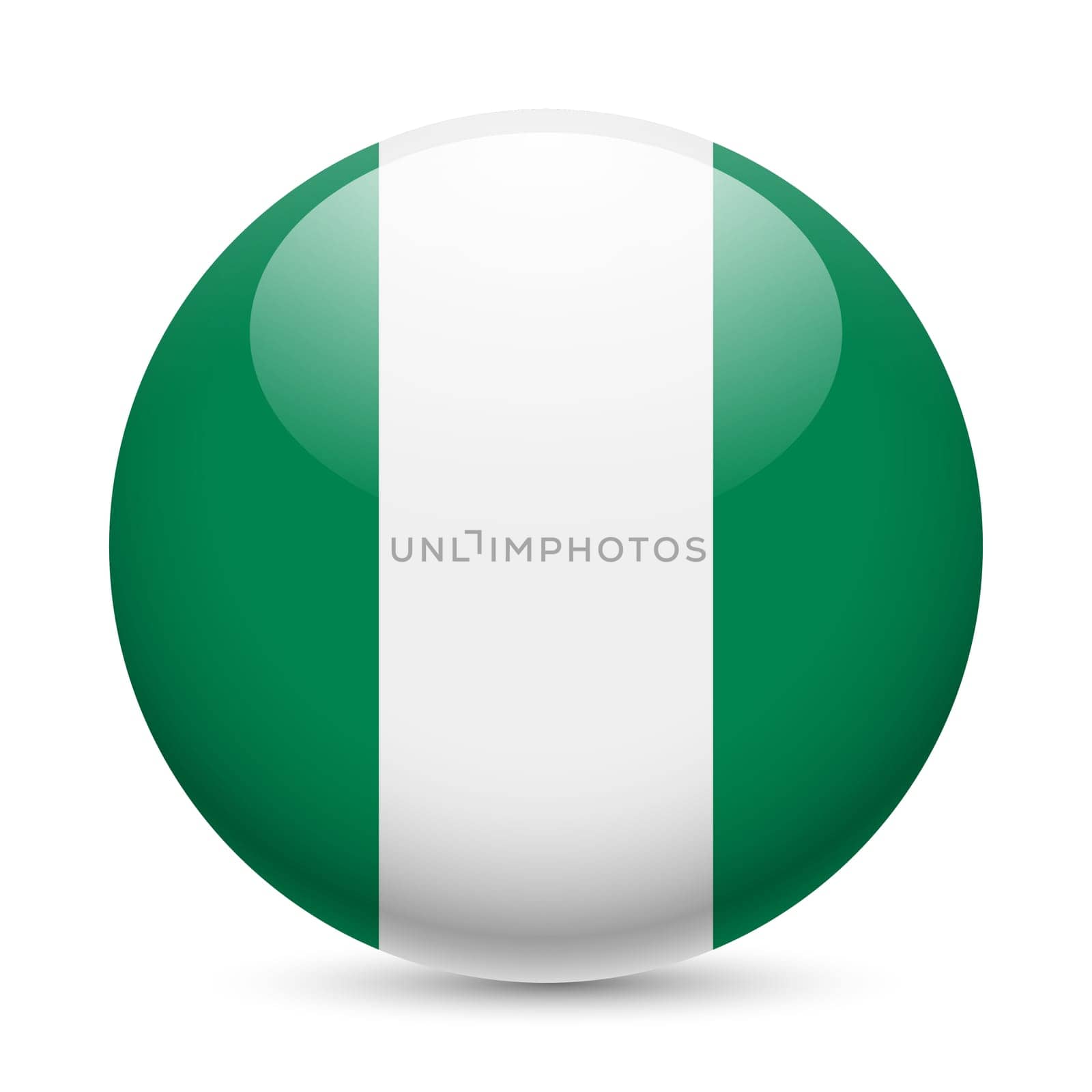 Flag of Nigeria as round glossy icon. Button with Nigerian flag
