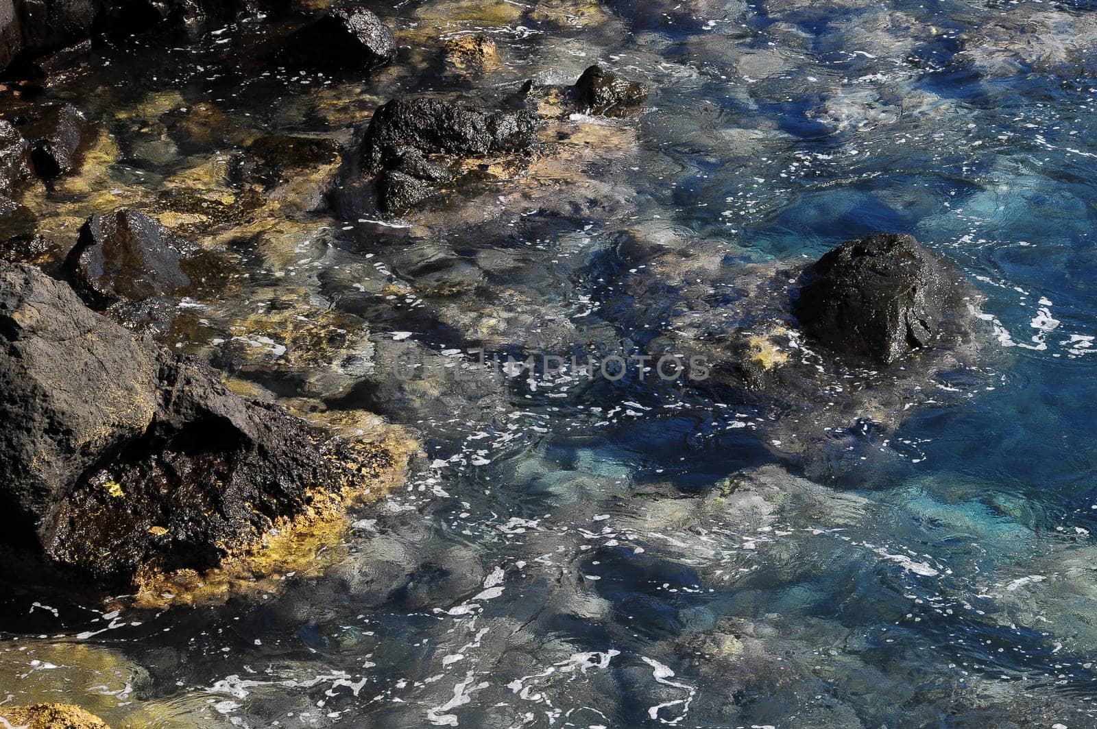 Blue Water Waves Texture on the Atlantic Ocean