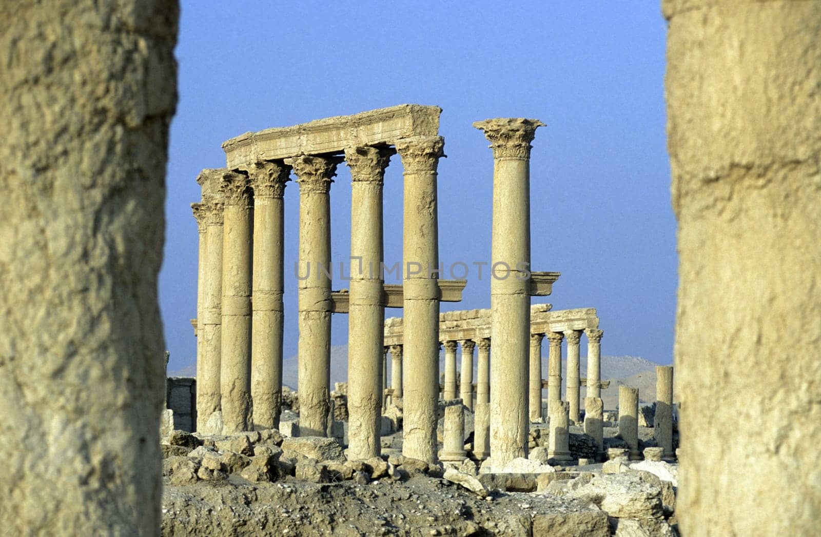 The ruins of Palmyra in the Weste Faydat in Syria in the Middle East in Arabia.