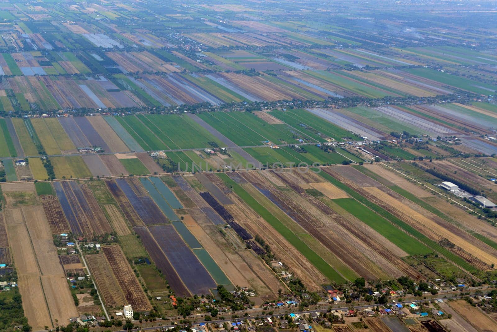 Agriculture on the outskirts of the city of Bangkok in Thailand in South East Asia.