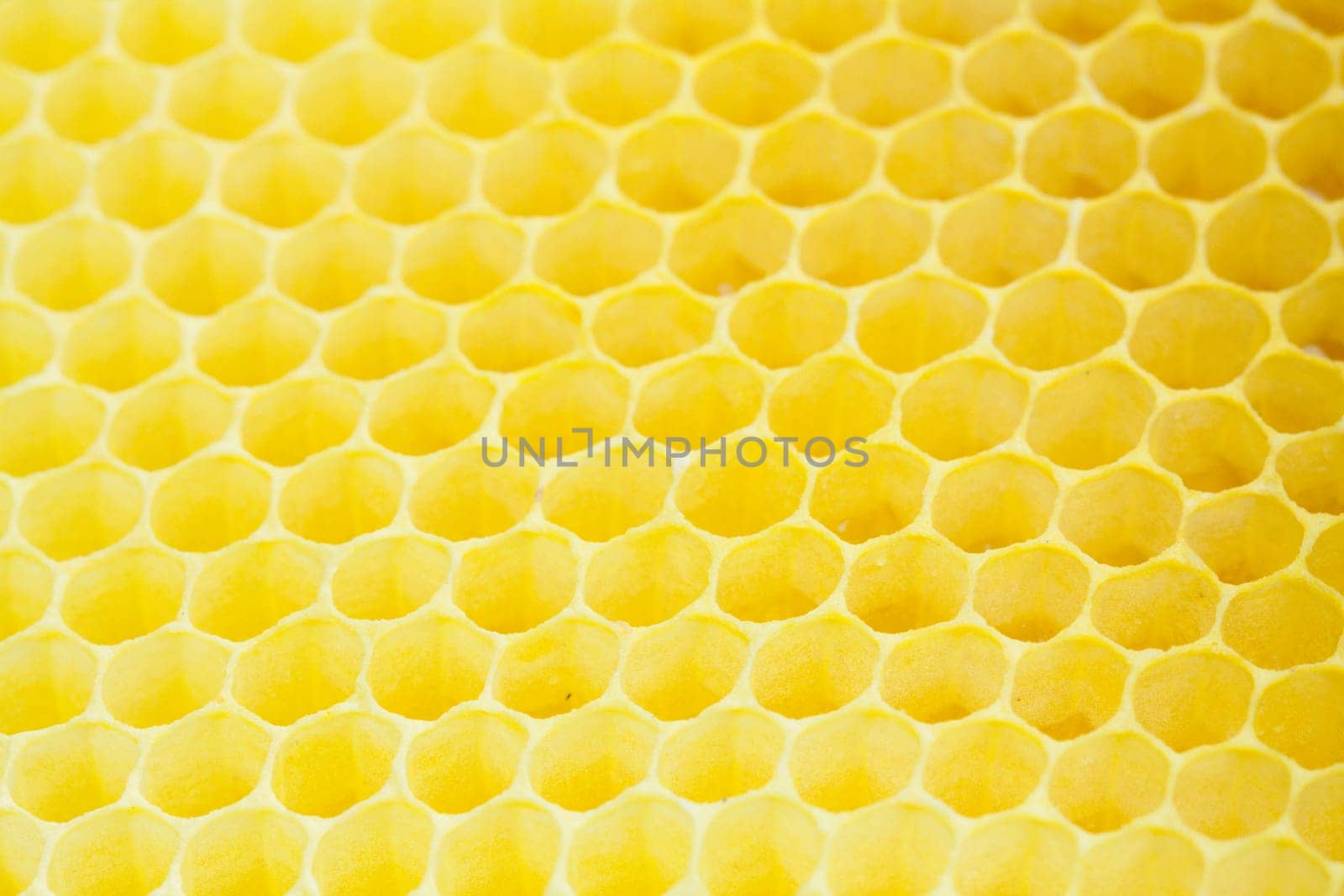 Honeycomb - close up texture