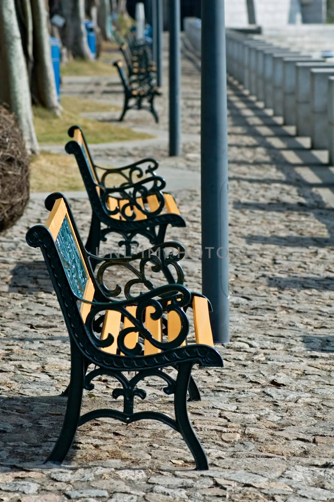 Row of benches in the city park