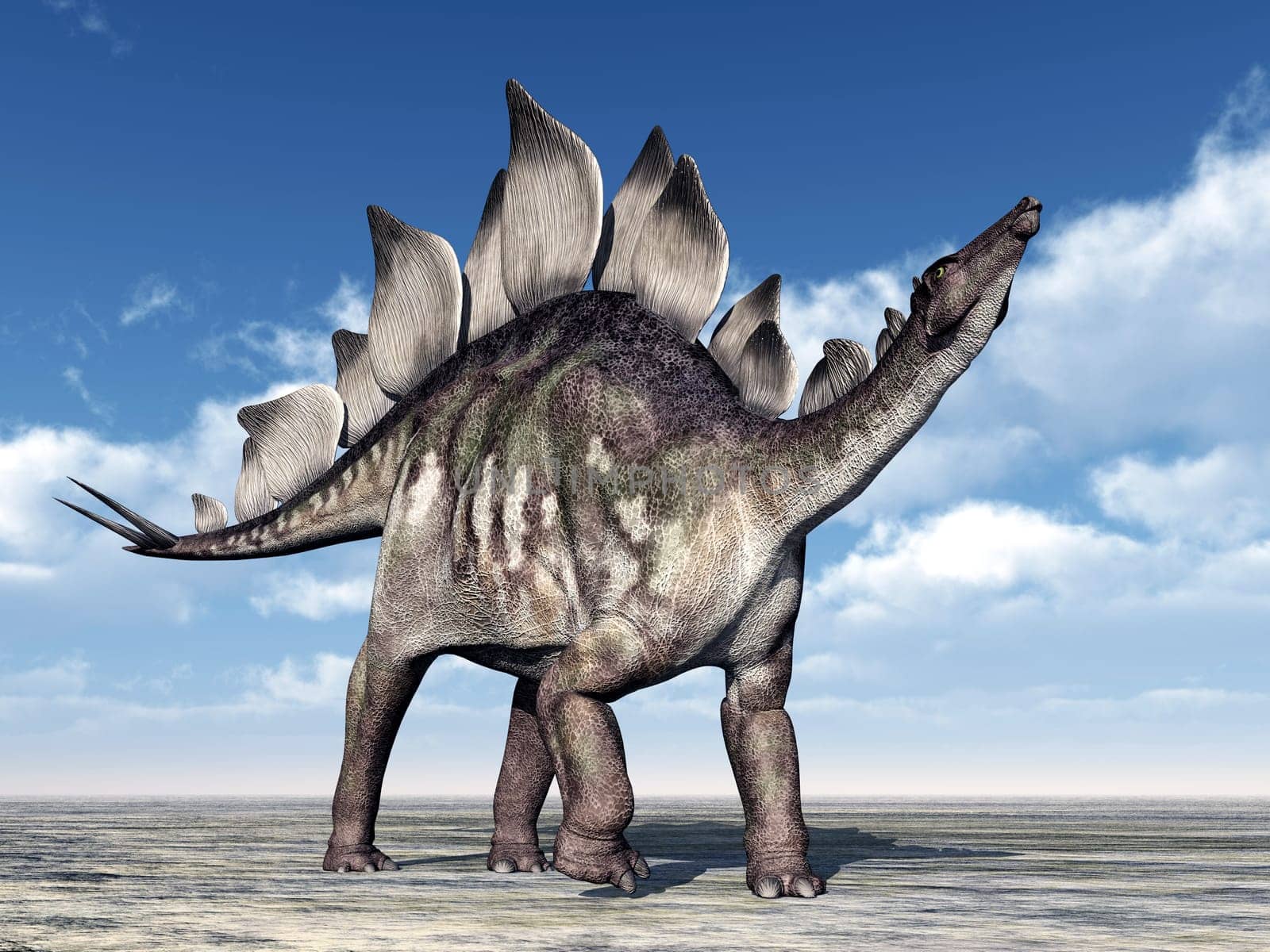 Computer-generated 3D illustration with the dinosaur Stegosaurus