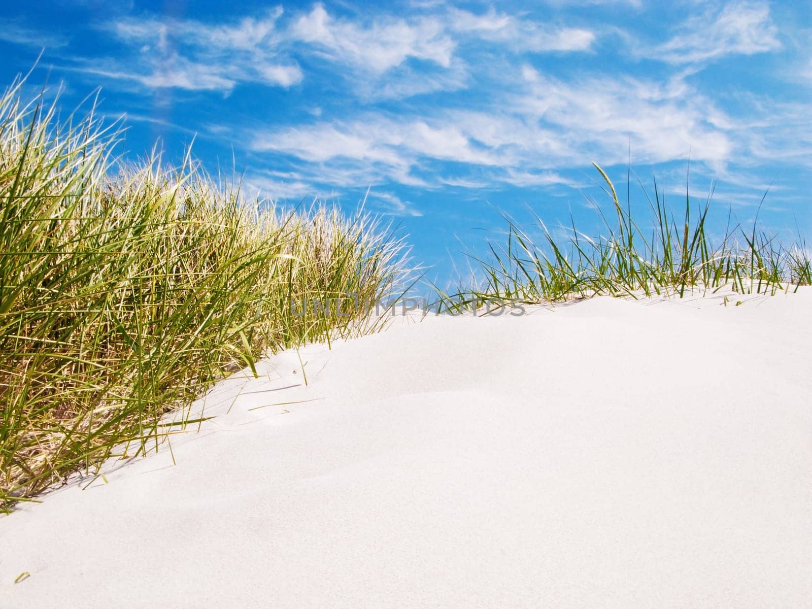 Dune on the Baltic Sea