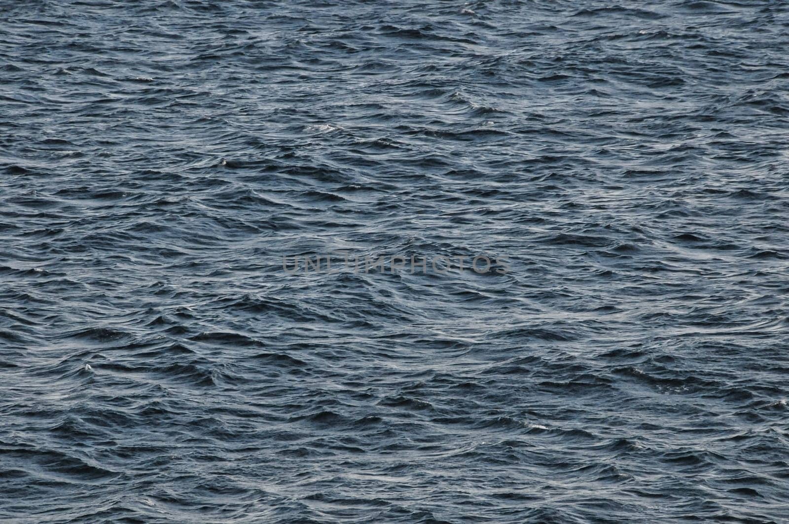 fc60026d-4274-4081-b9d4-f136302f40b0
