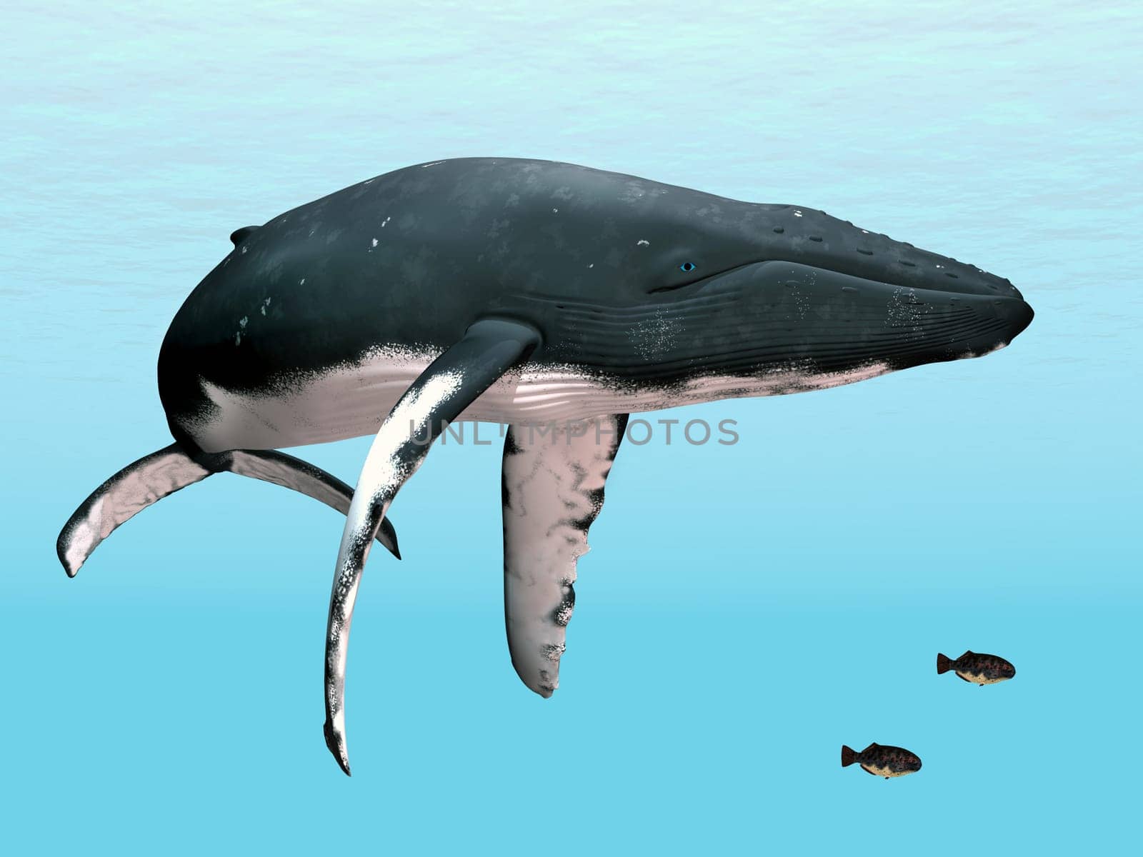 Computer-generated 3D illustration with a humpback whale