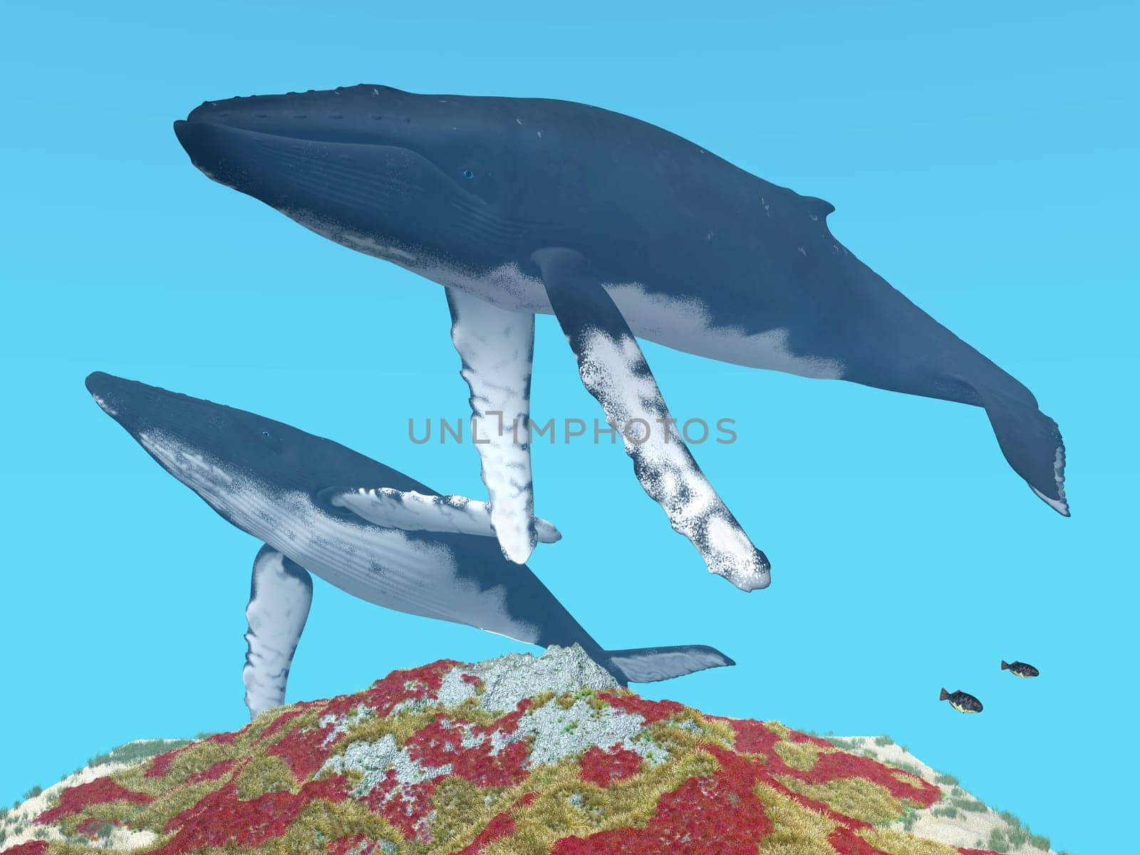 Computer-generated 3D illustration with two humpback whales