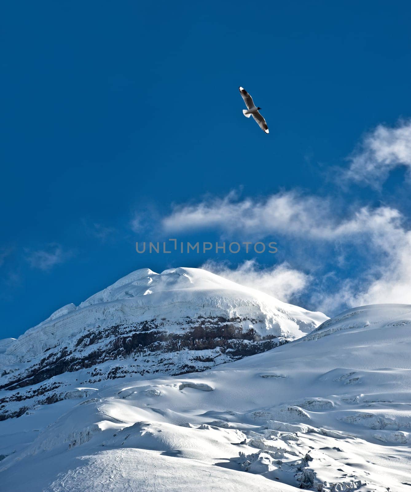Cotopaxi - The highest active volcano at 5.897 m. Cotopaxi is the volcanic centrepiece of the National Park with the same name, situated in the Andean Highlands of Ecuador.