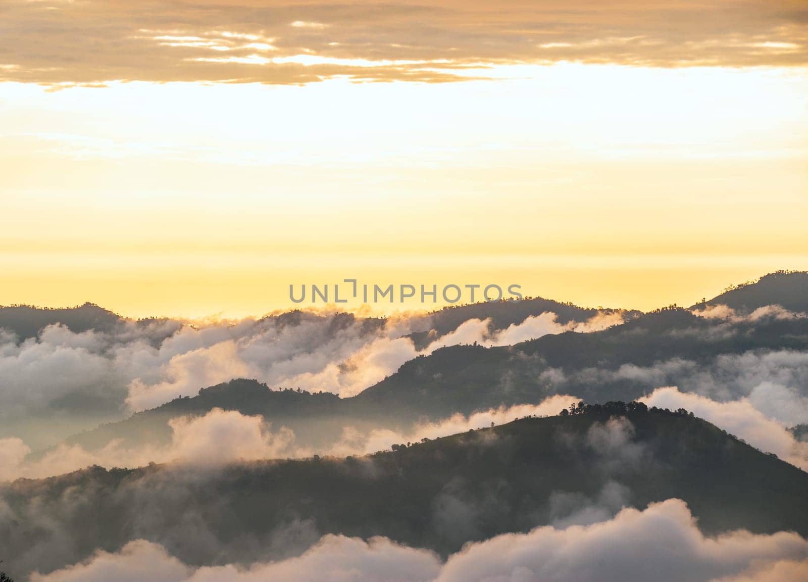 Andes, Bolivar Province, Ecuador, near the inactive stratovolcano Chimborazo in Reserva de Produccion Faunistica Chimborazo, in the Cordillera Occidental