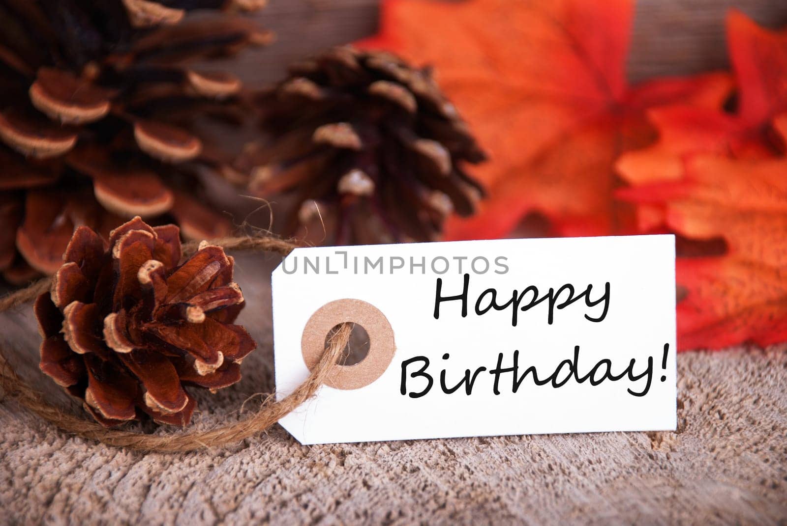 Fall Background with a Label with Happy Birthday on it