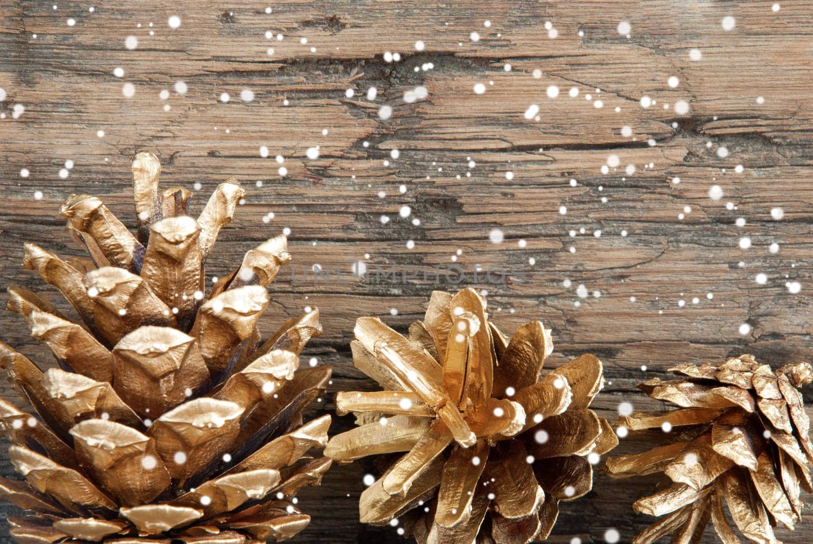 Golden Fir Cones on Wood with Copy Space and Snow