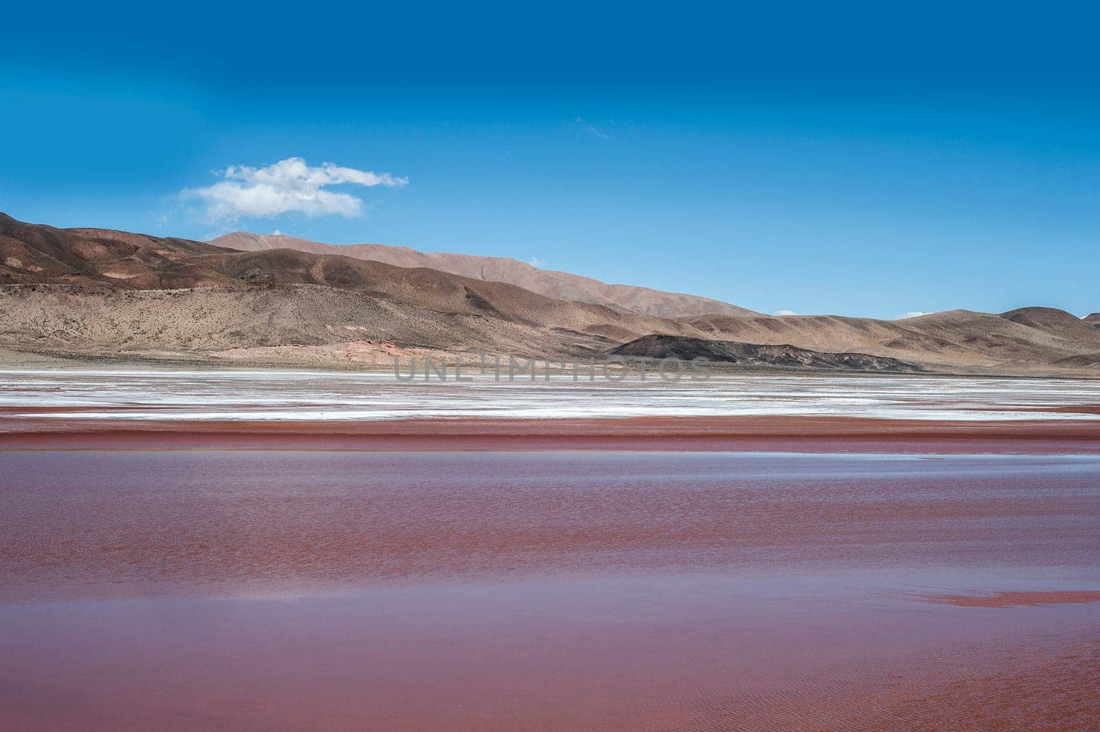 Salinas Grandes on Argentina Andes is a salt desert in the Jujuy Province. It is of industrial importance for its sodium and potassium mines. Salar de Uyuni is also located in the same region