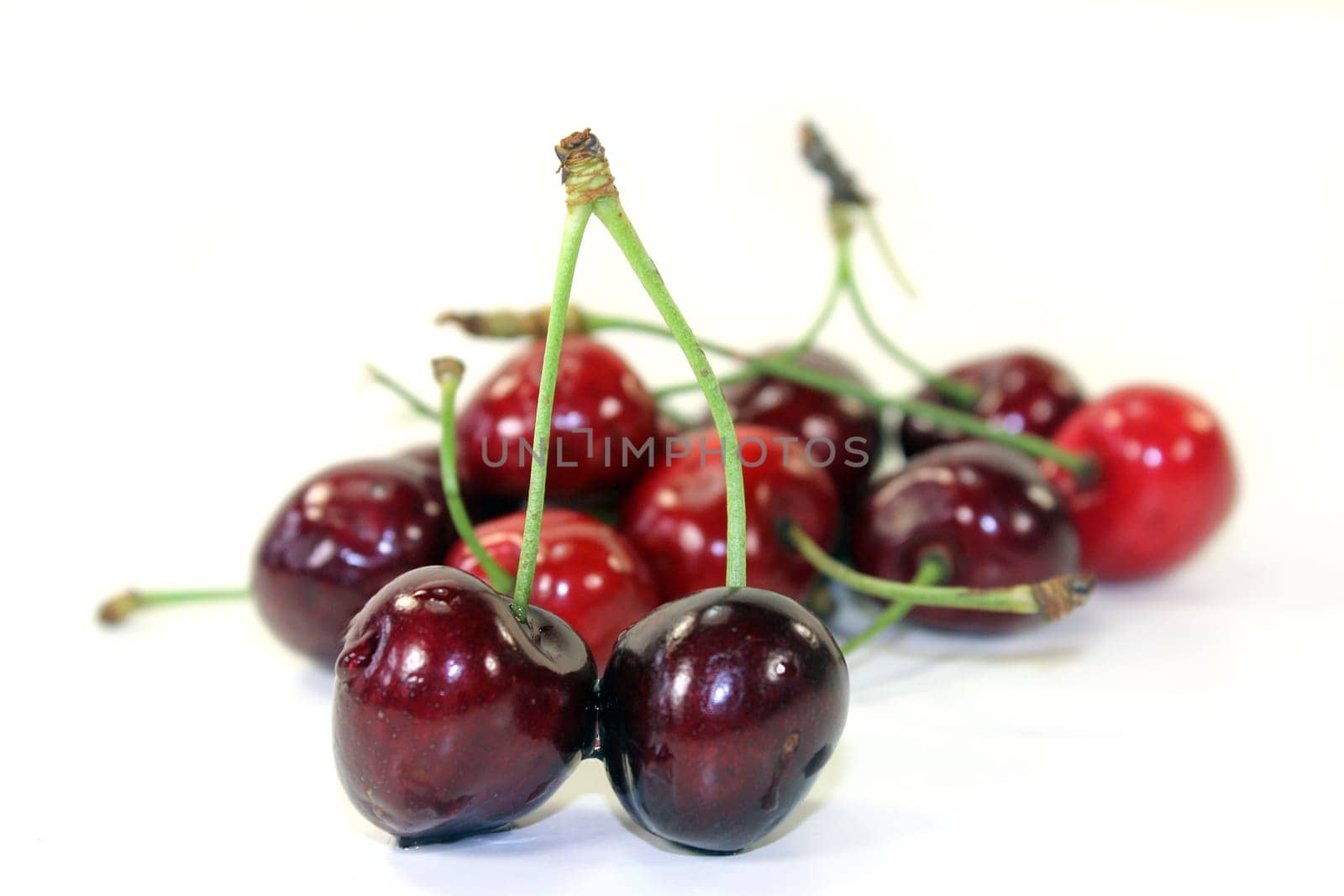 red sweet cherries against a white background