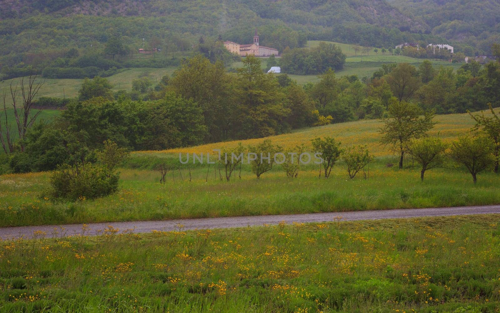 View of the Italian countryside near Piacenza