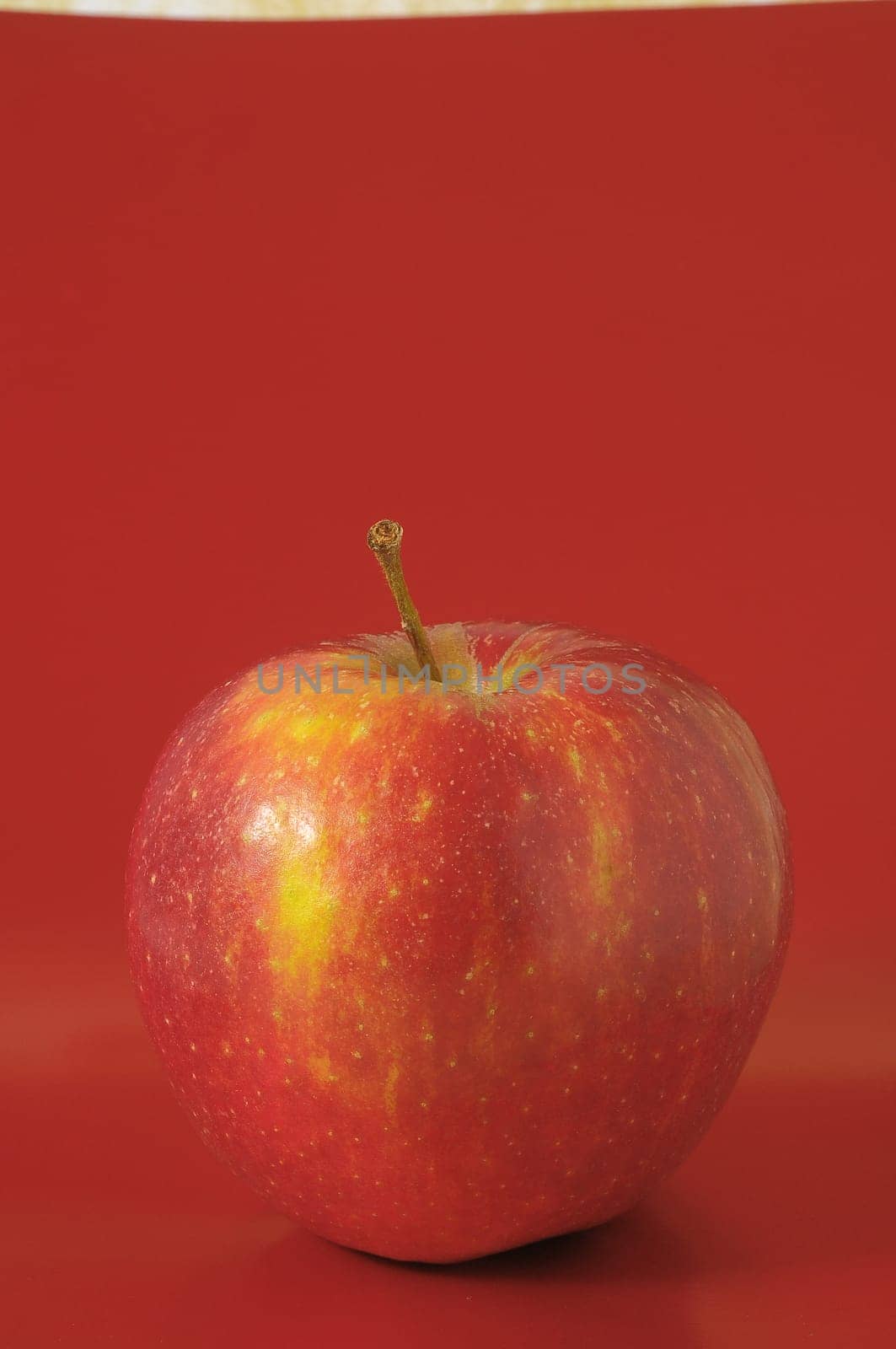 One Juicy Hot Red Apple over a Colored Background
