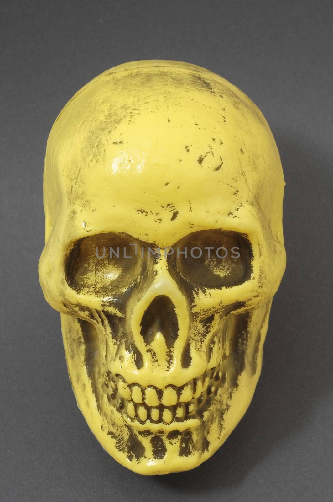 An Ancient Yellow Skull on a Colored Background