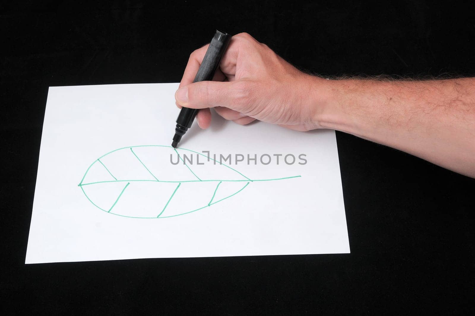 A Caucasian Male Hand Drawing on a White Paper