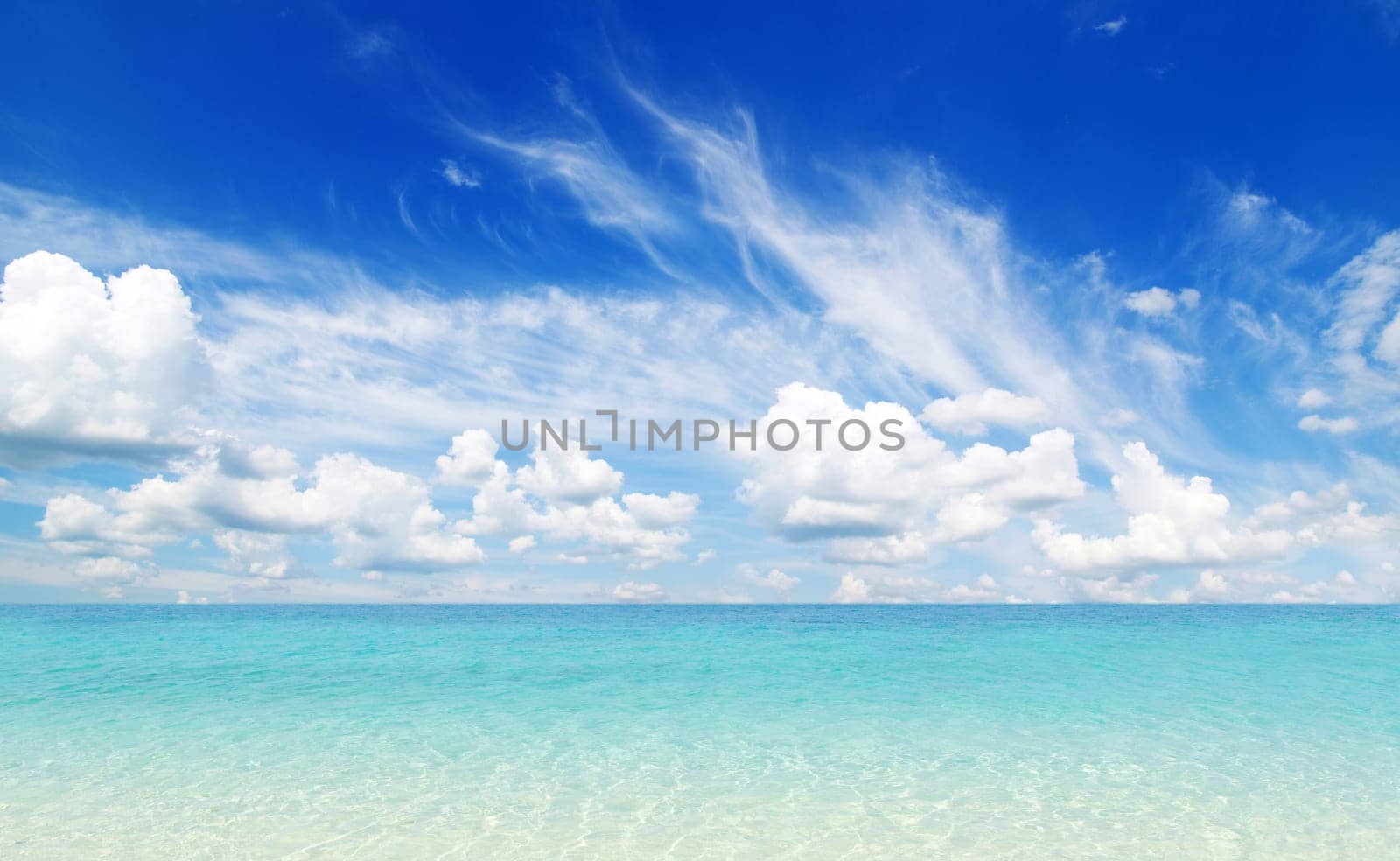beautiful beach and tropical sea
