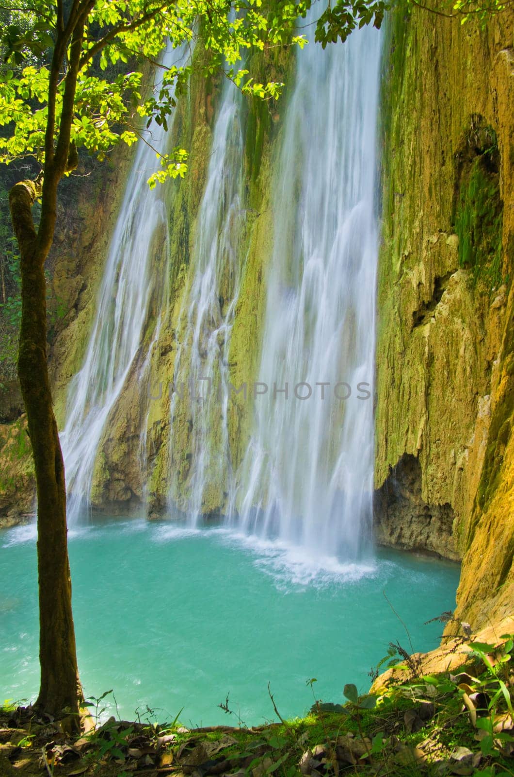 waterfall in deep green forest