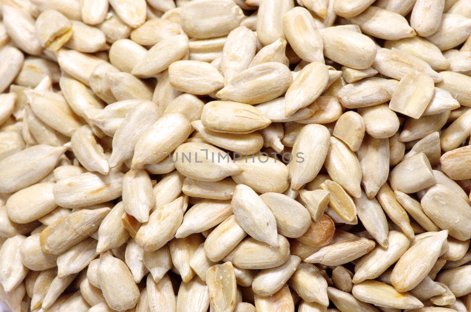 roasted sunflower seeds close up