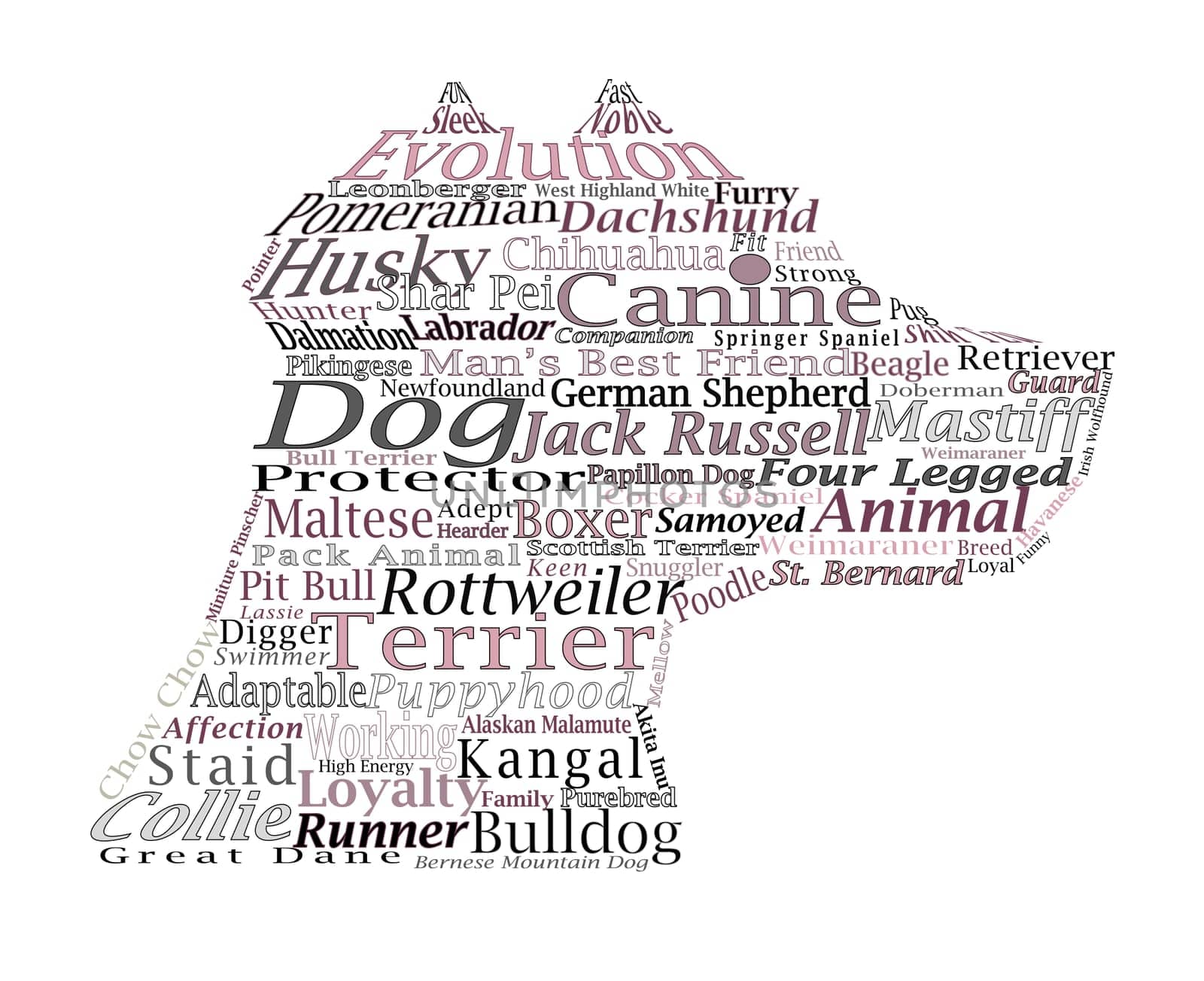 Words stacked on a white background about dogs and dog breeds