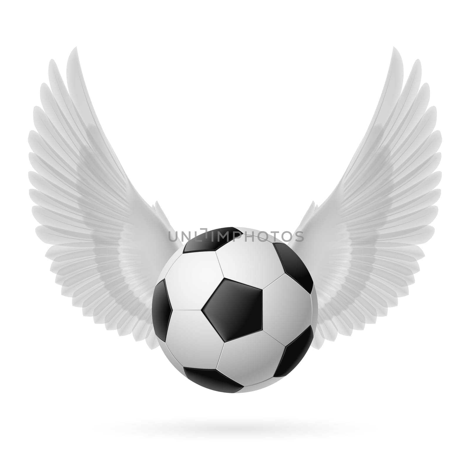 Realistic soccer ball emblem with white wings