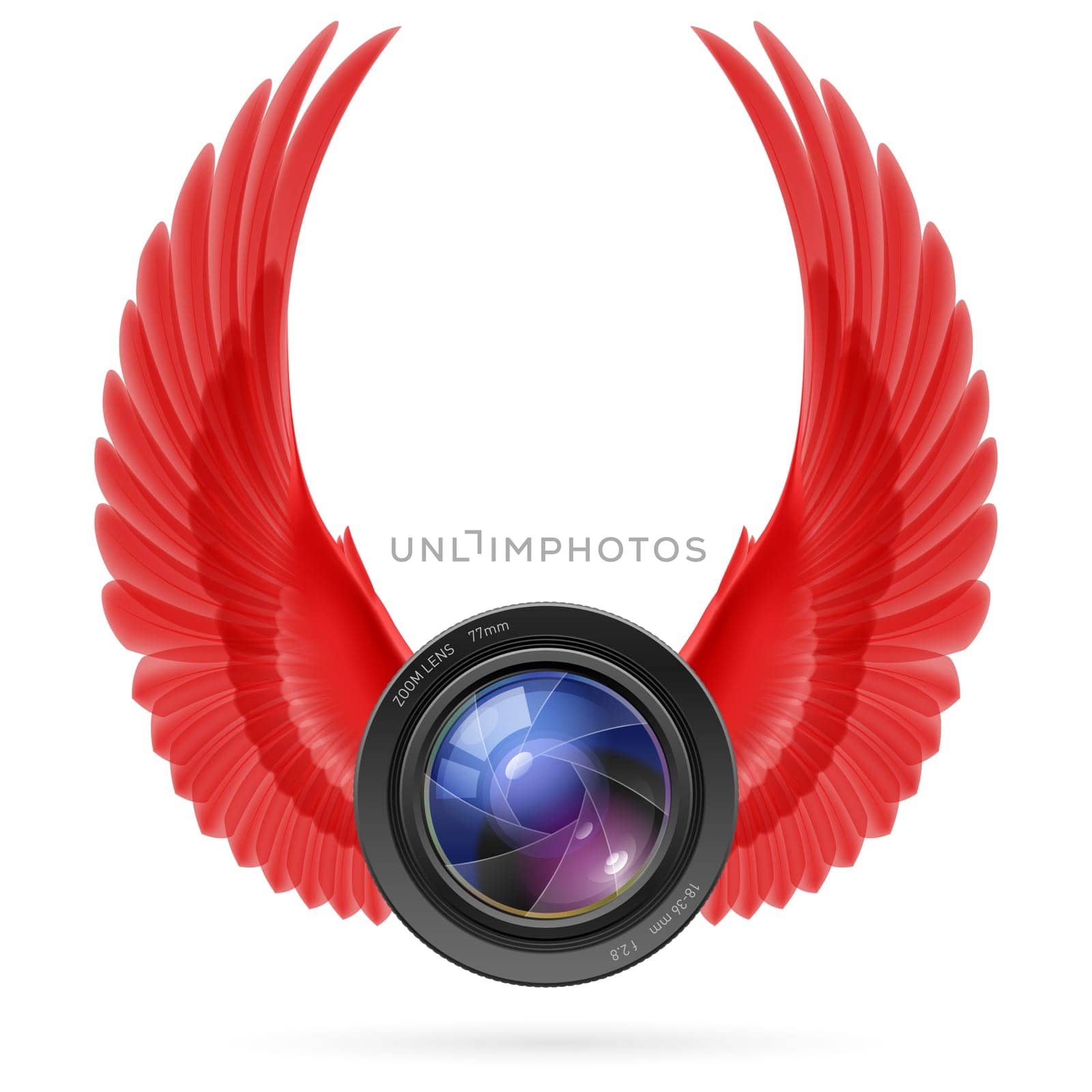 Photo camera lens with raised up red wings