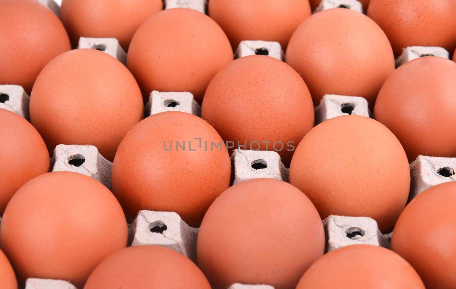 group of eggs in paper tray