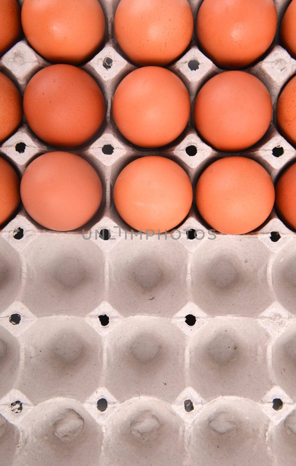 group of eggs in paper tray