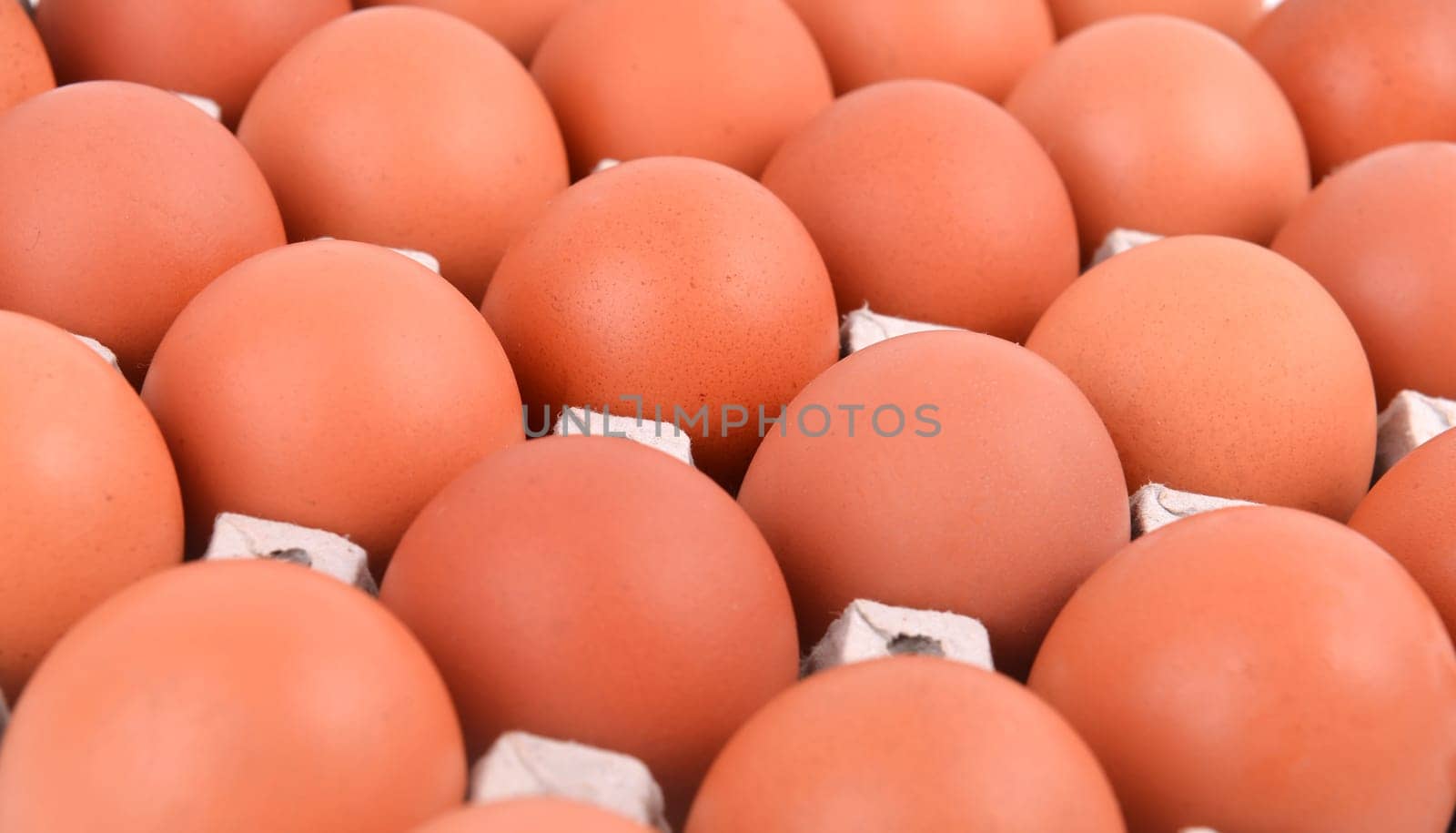 group of eggs in paper tray