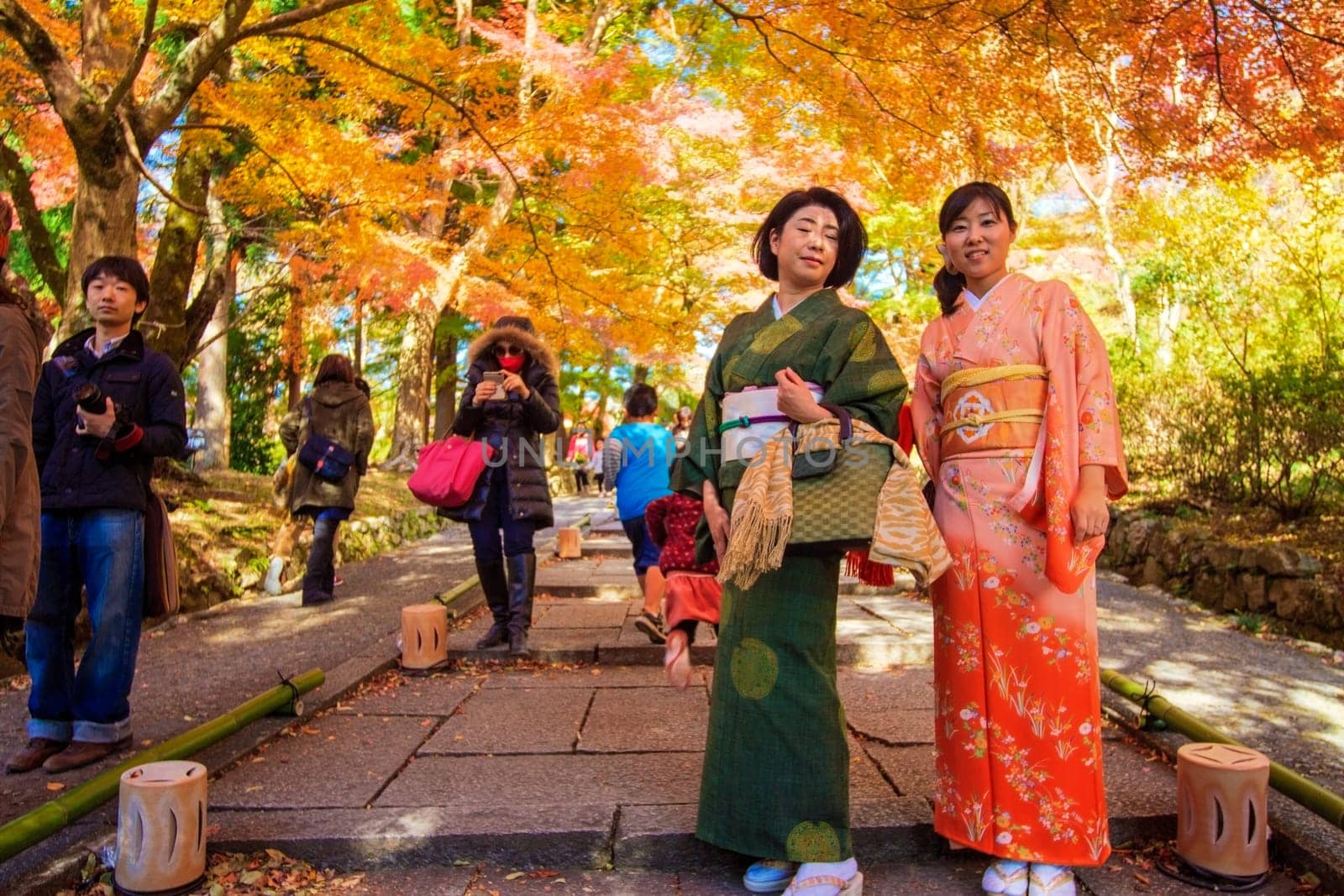 fall season, japan