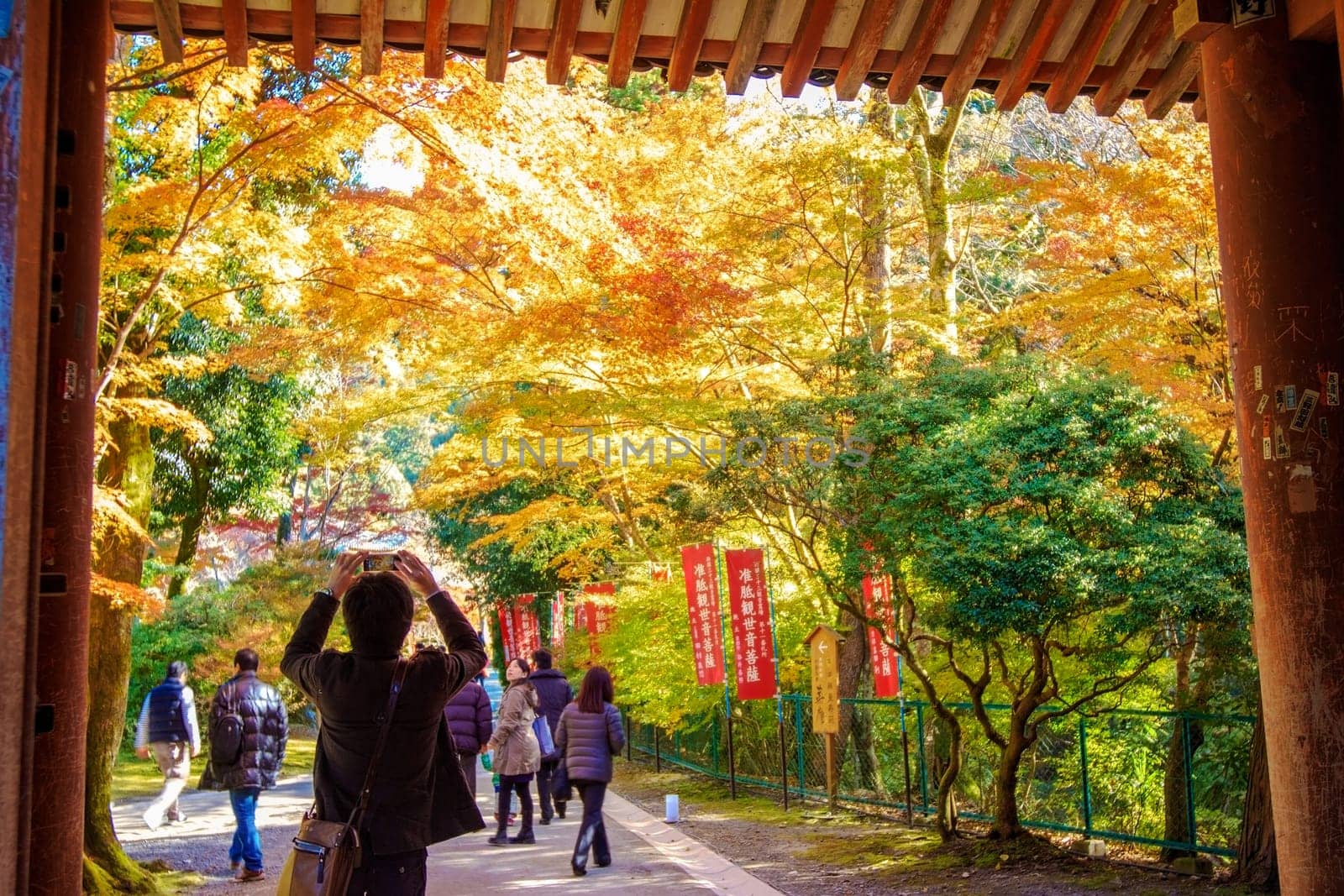 fall season, japan