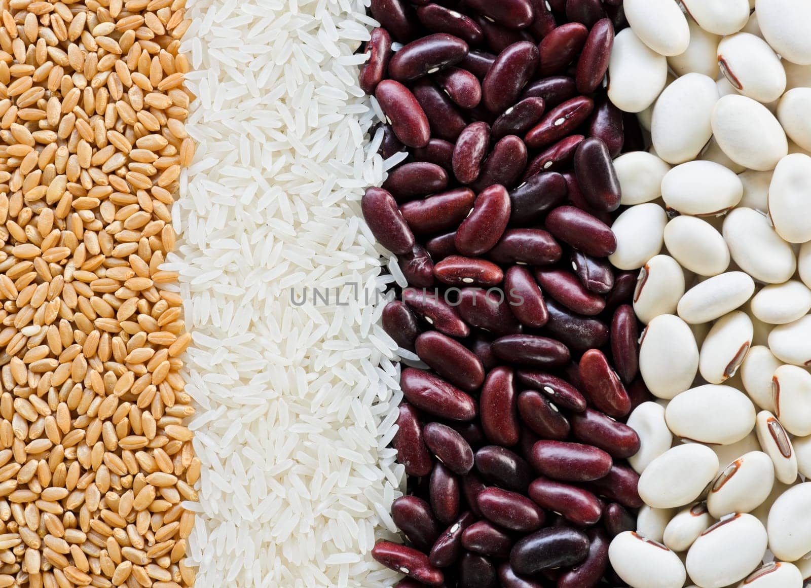 Mixed grains of wheat grain, white jasmin rice, red kidney bean and white kidney bean