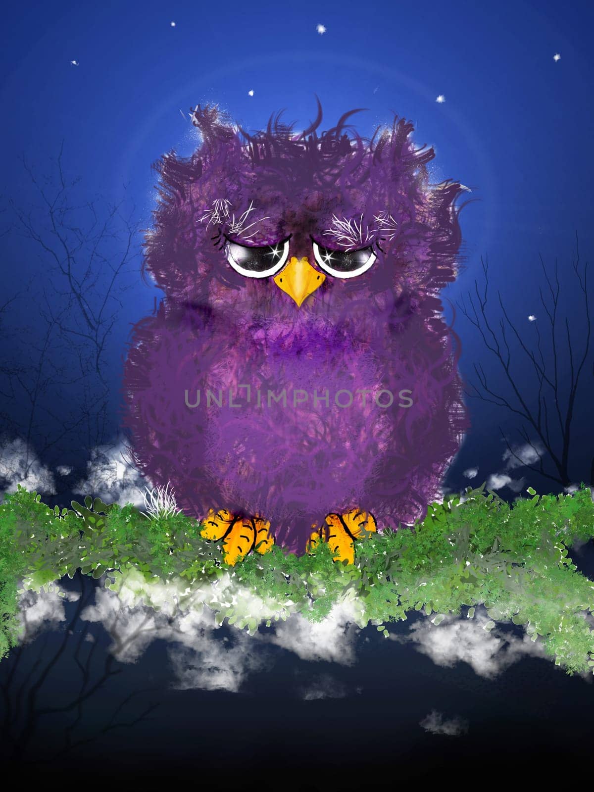 Owl