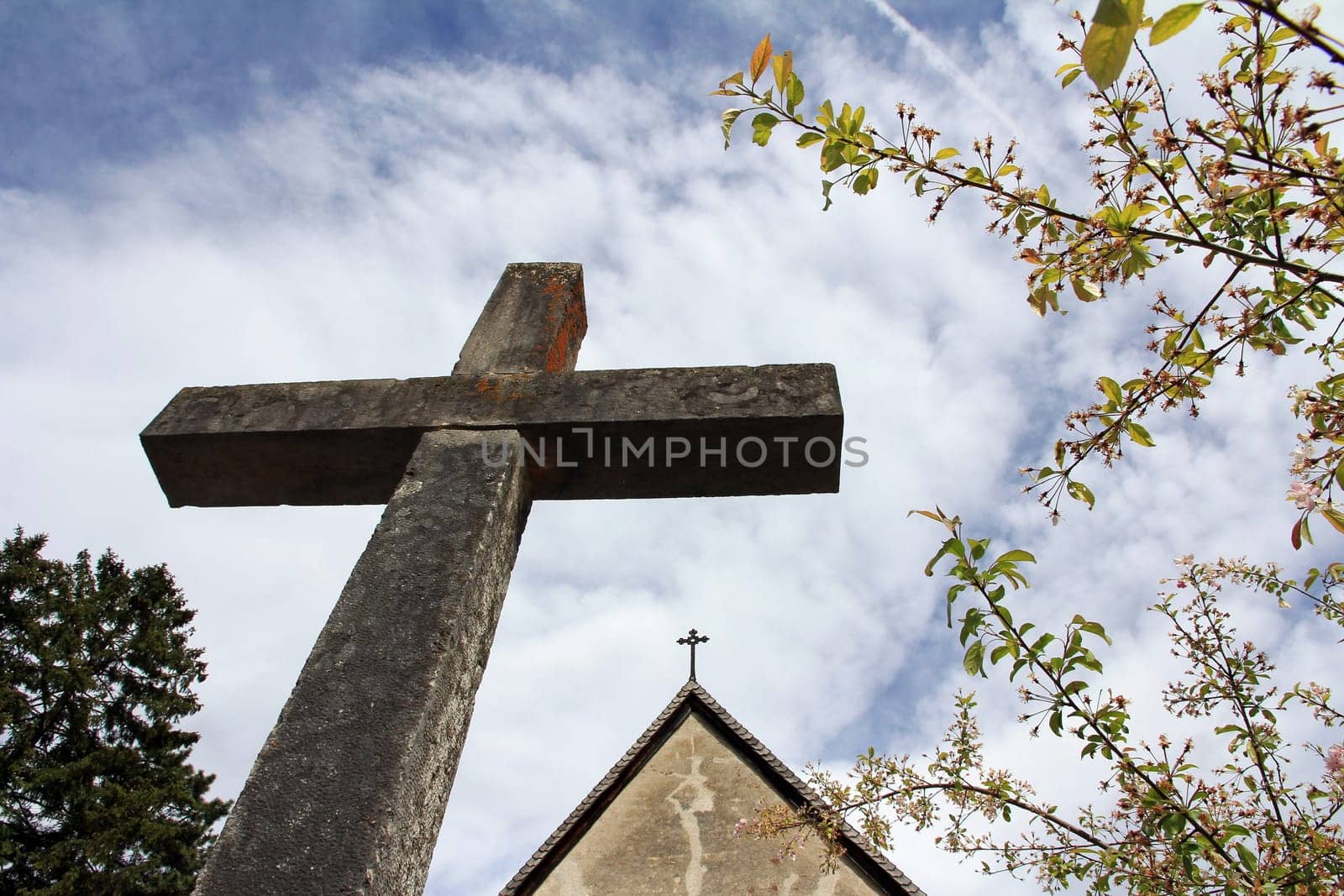 The Cross and the Church