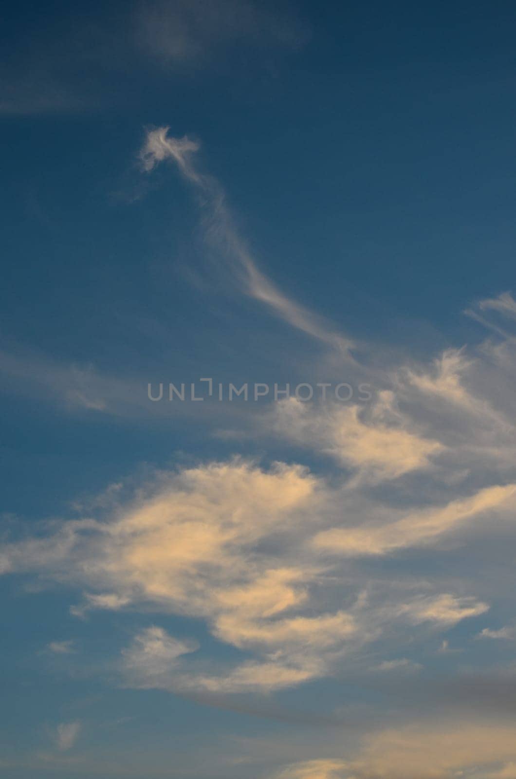 a5564647-d395-4006-90d5-bb9910600d10