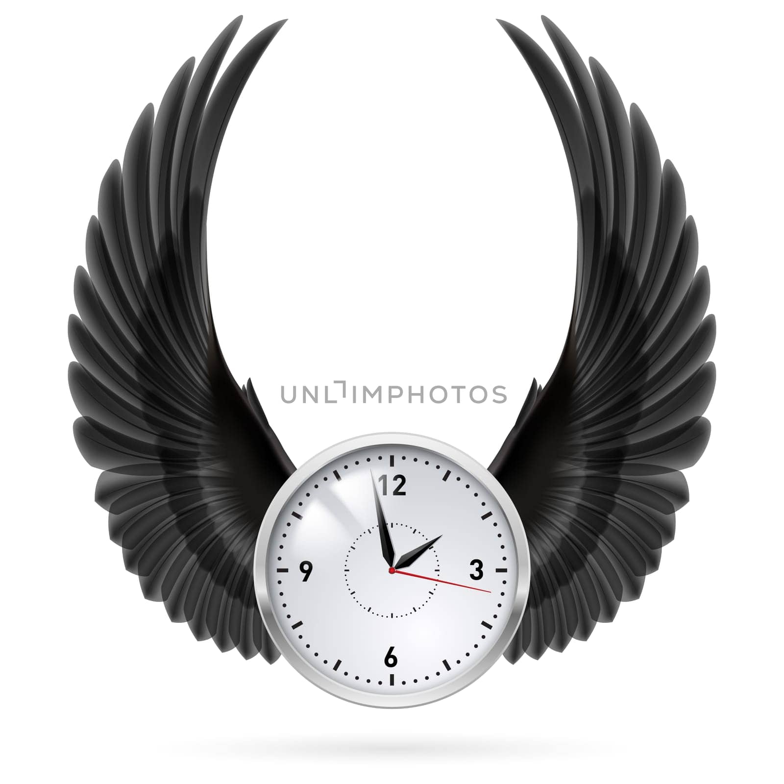 White clock with black wings. Swing. Fly.