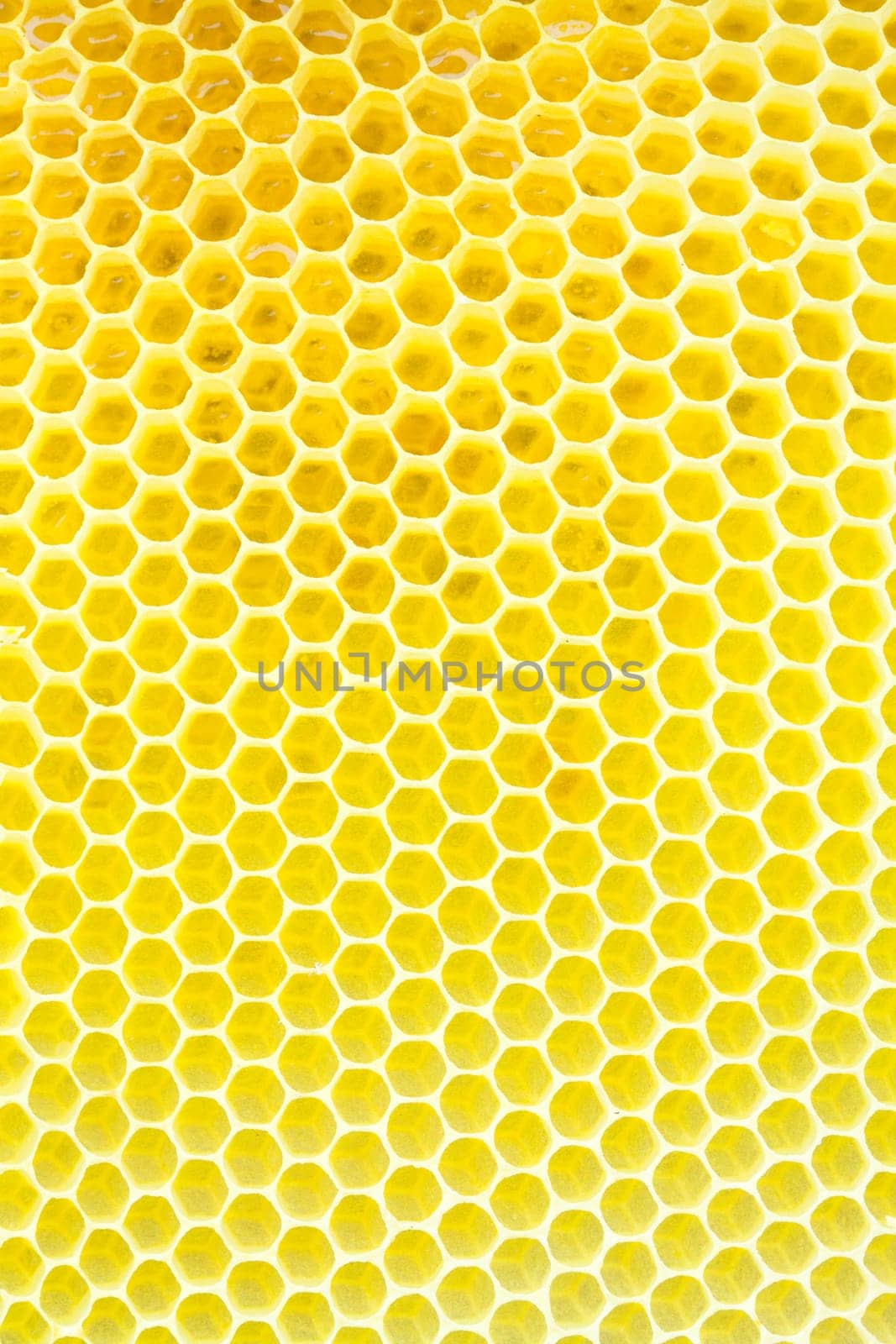 Honeycomb - close up texture