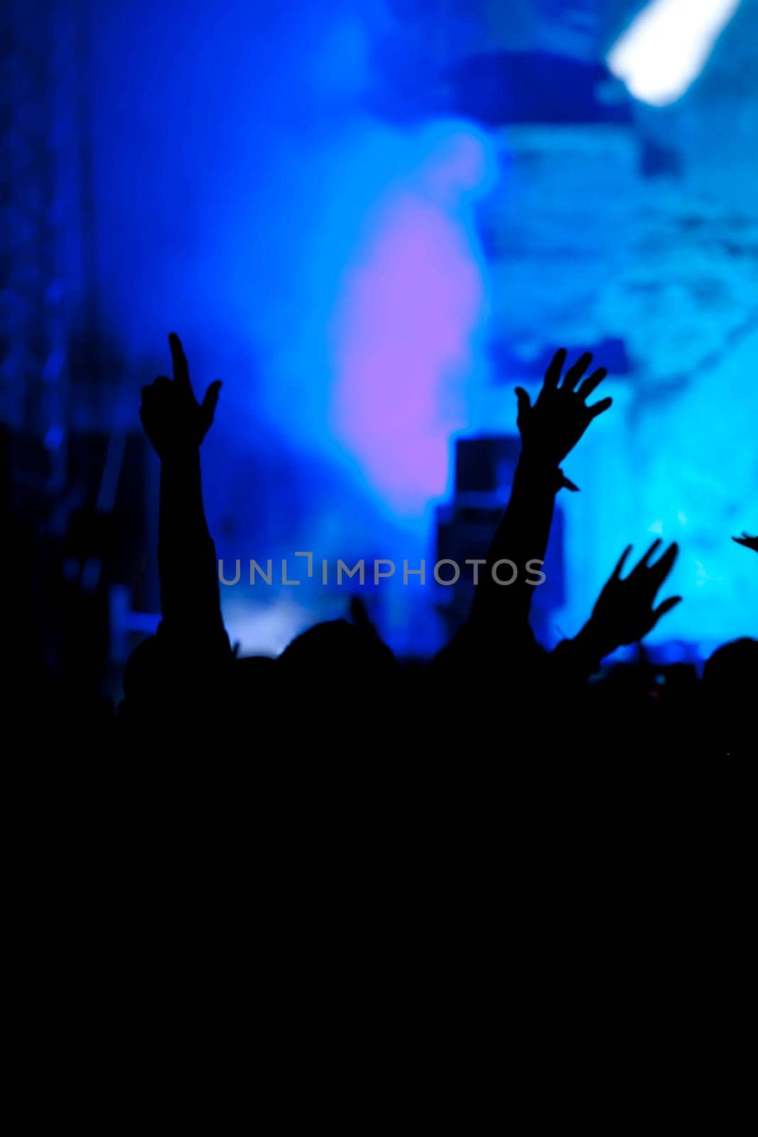 Cheering crowd in front of bright colorful stage lights