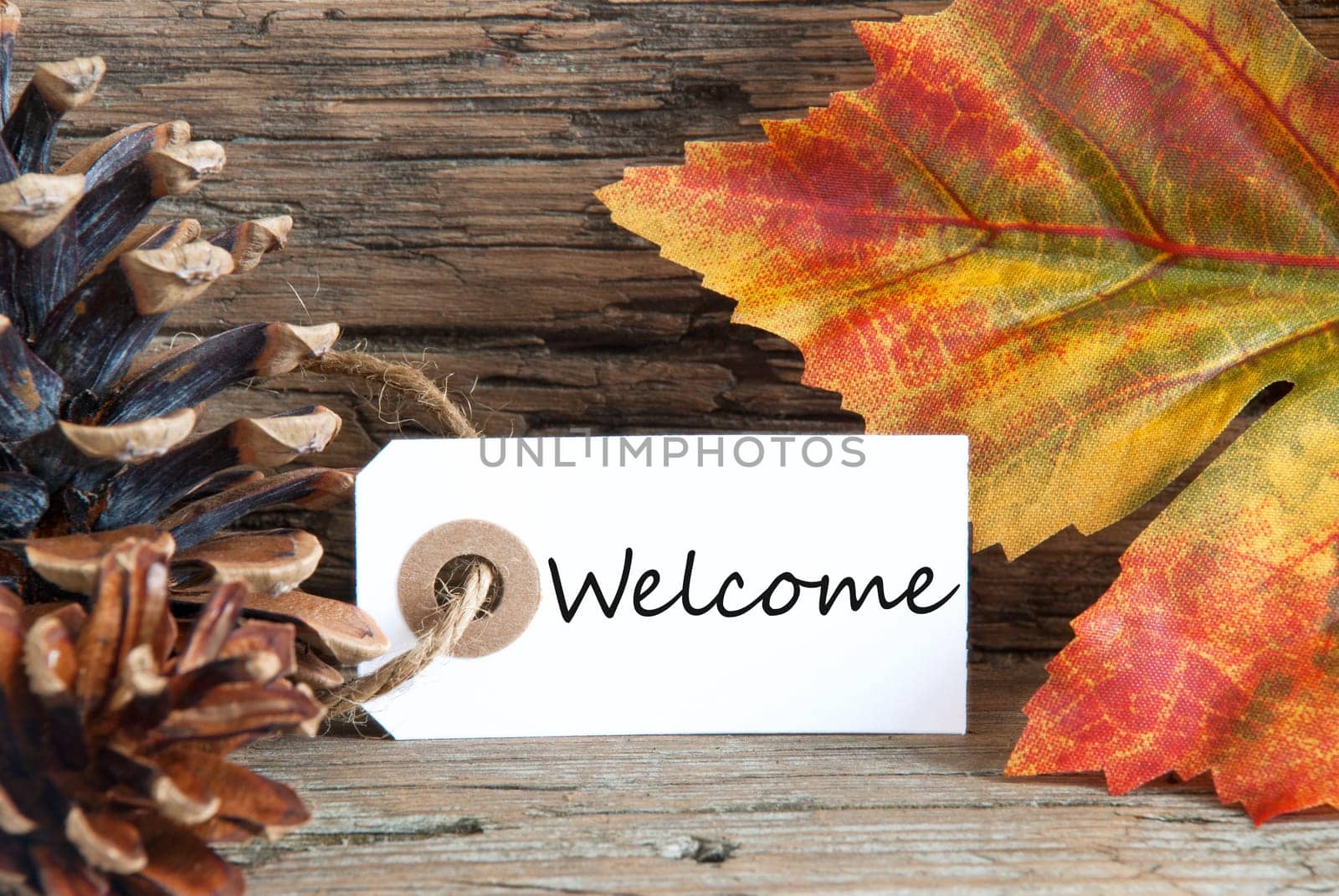 Autumn Background with the Word Welcome written on a label
