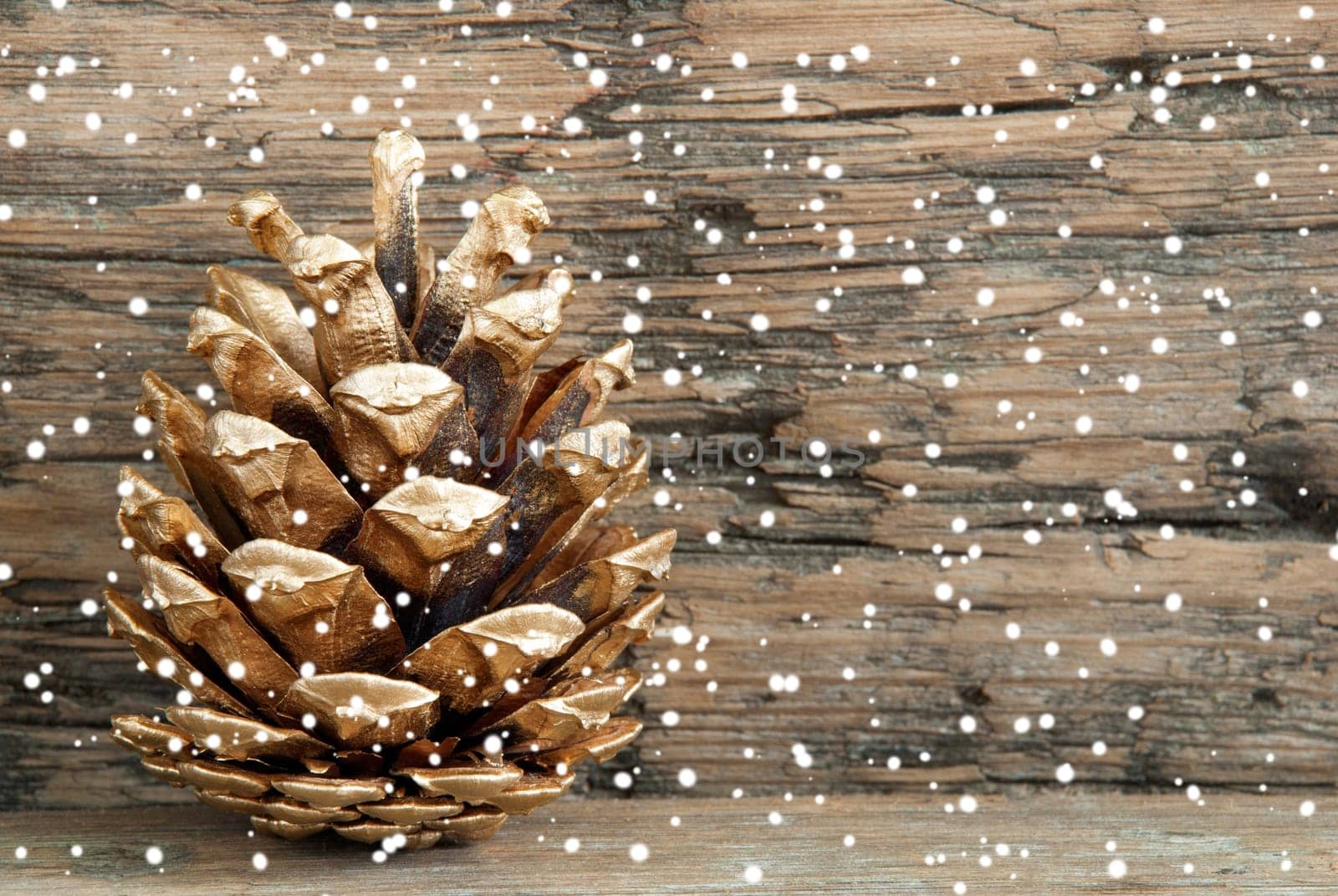 Golden Fir Cone on Wood with Snow as Christmas or Winter Background
