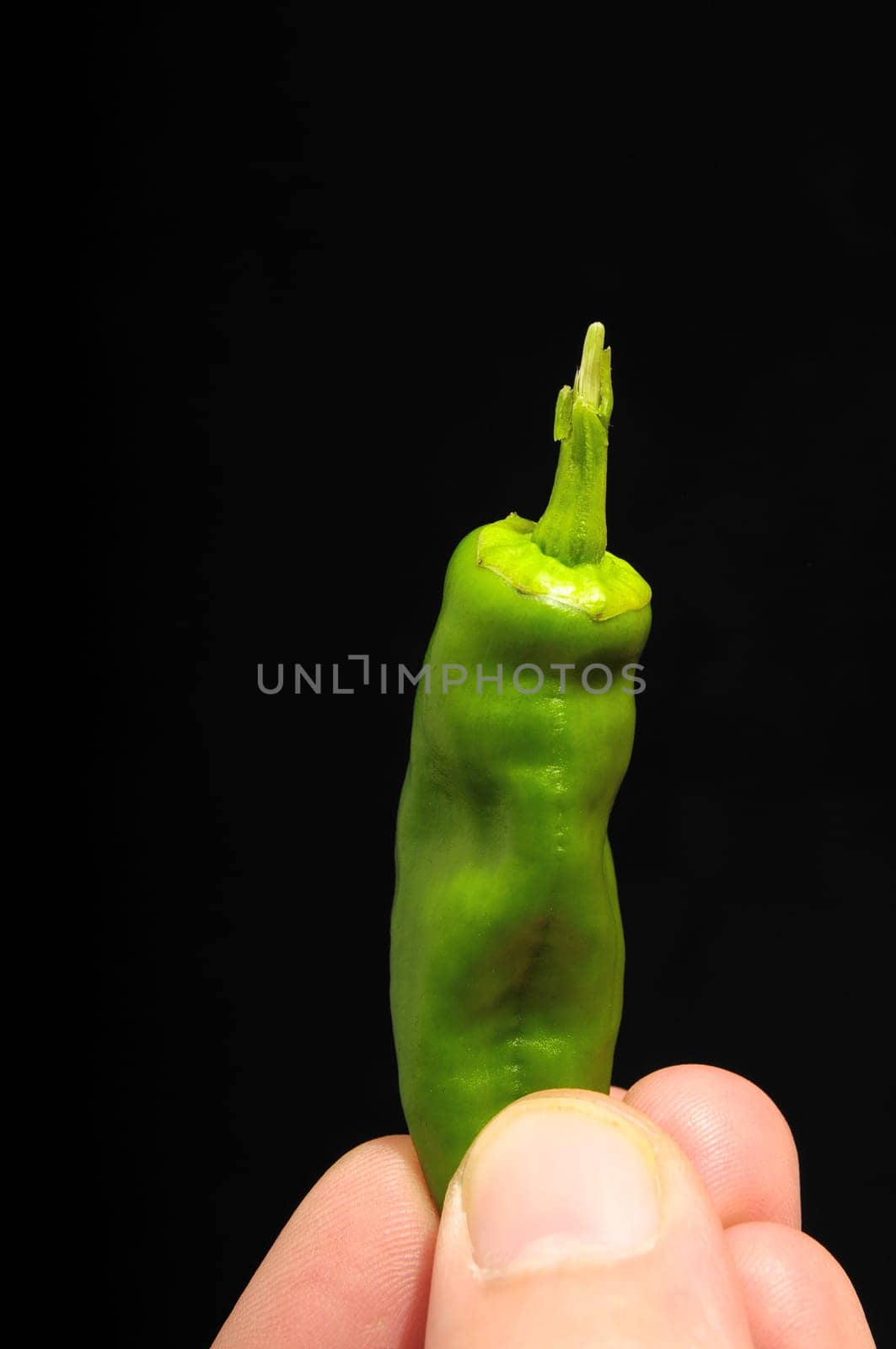 Some Very Hot Chili Peppers Ready to Cook