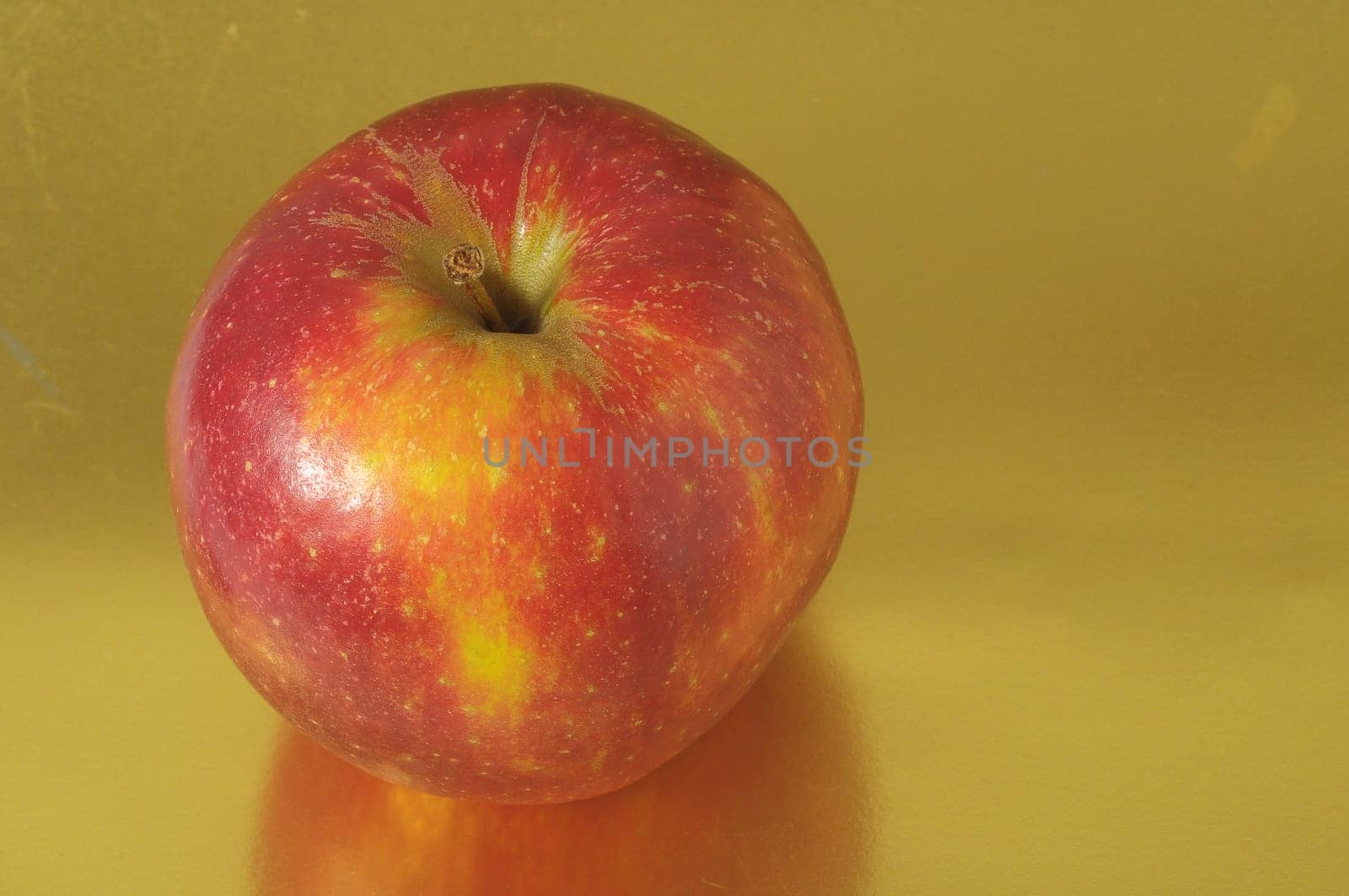 8872da97-0146-47d4-a614-da116256cb42